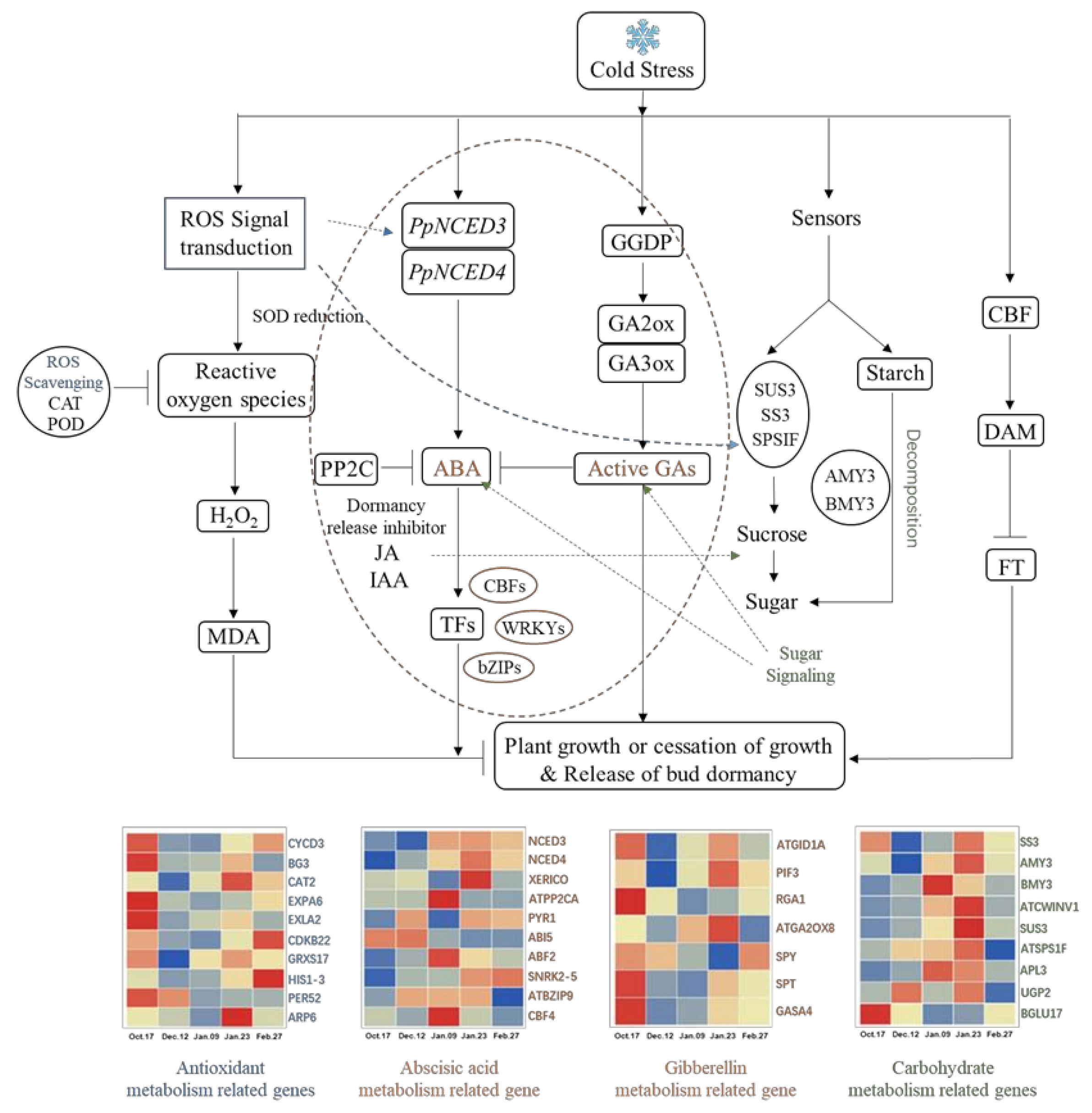 Ijms 22 08382 g012 550