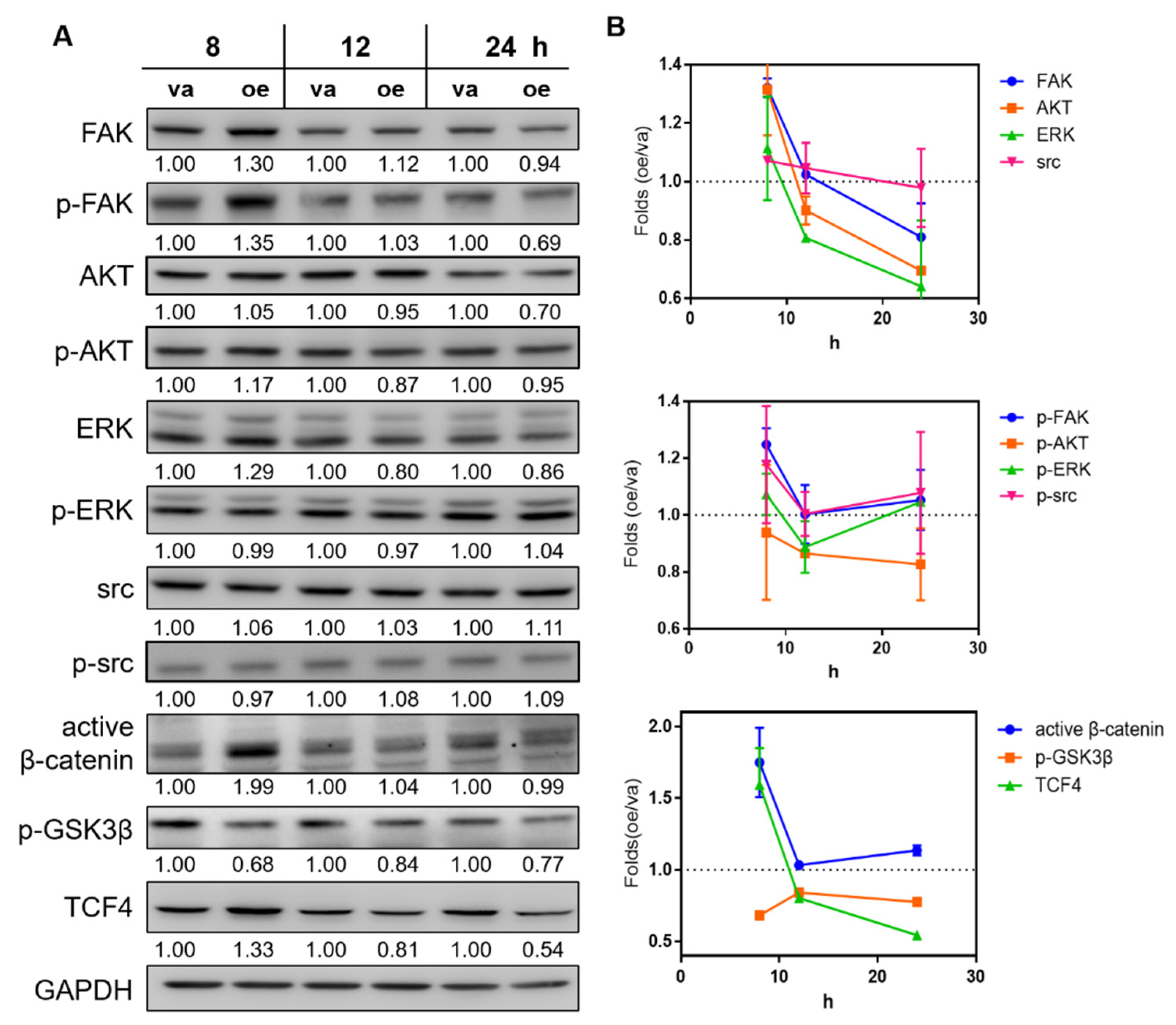 Ijms 22 08383 g003 550