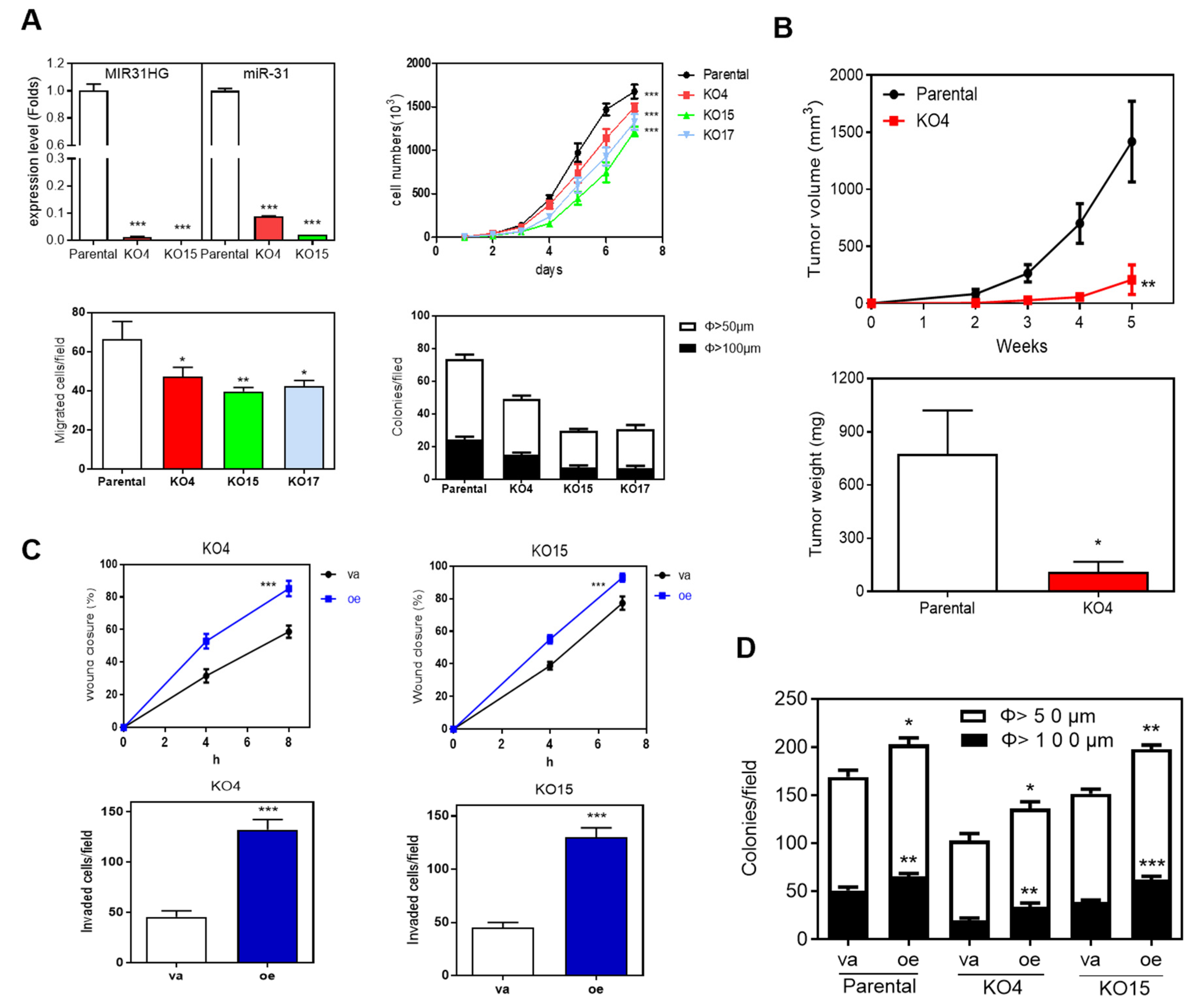 Ijms 22 08383 g004 550