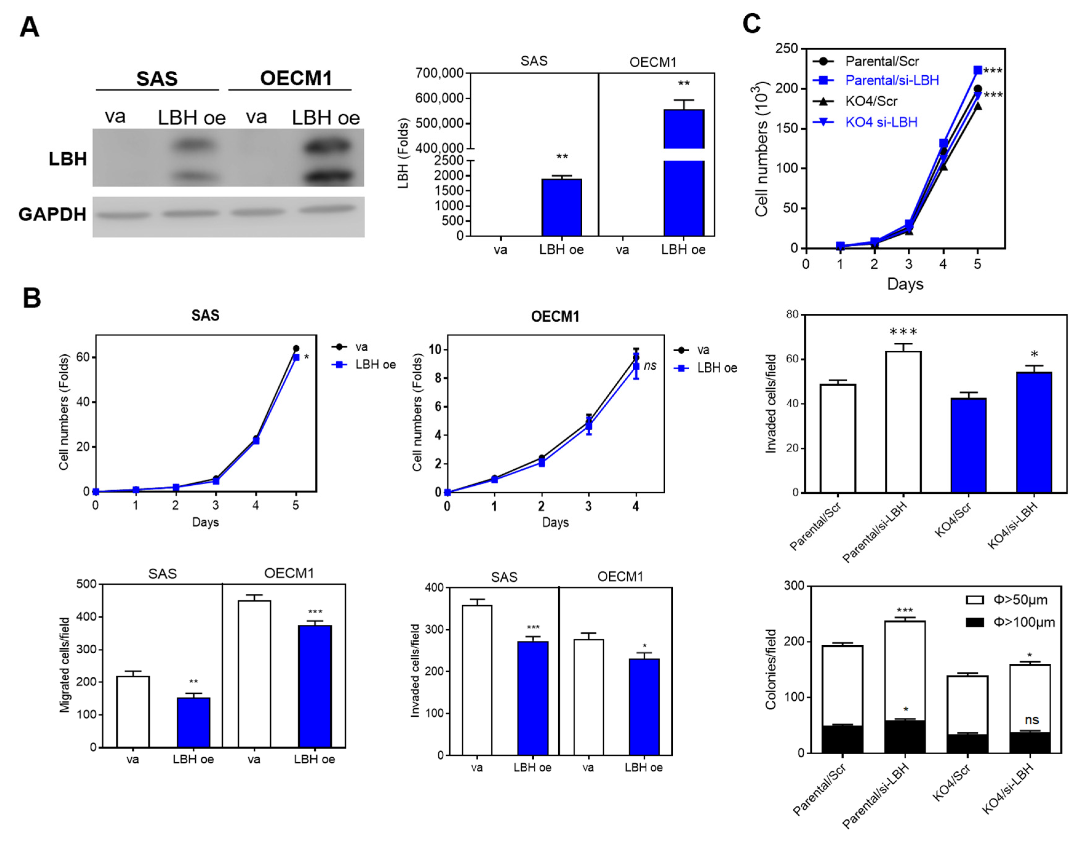 Ijms 22 08383 g007 550