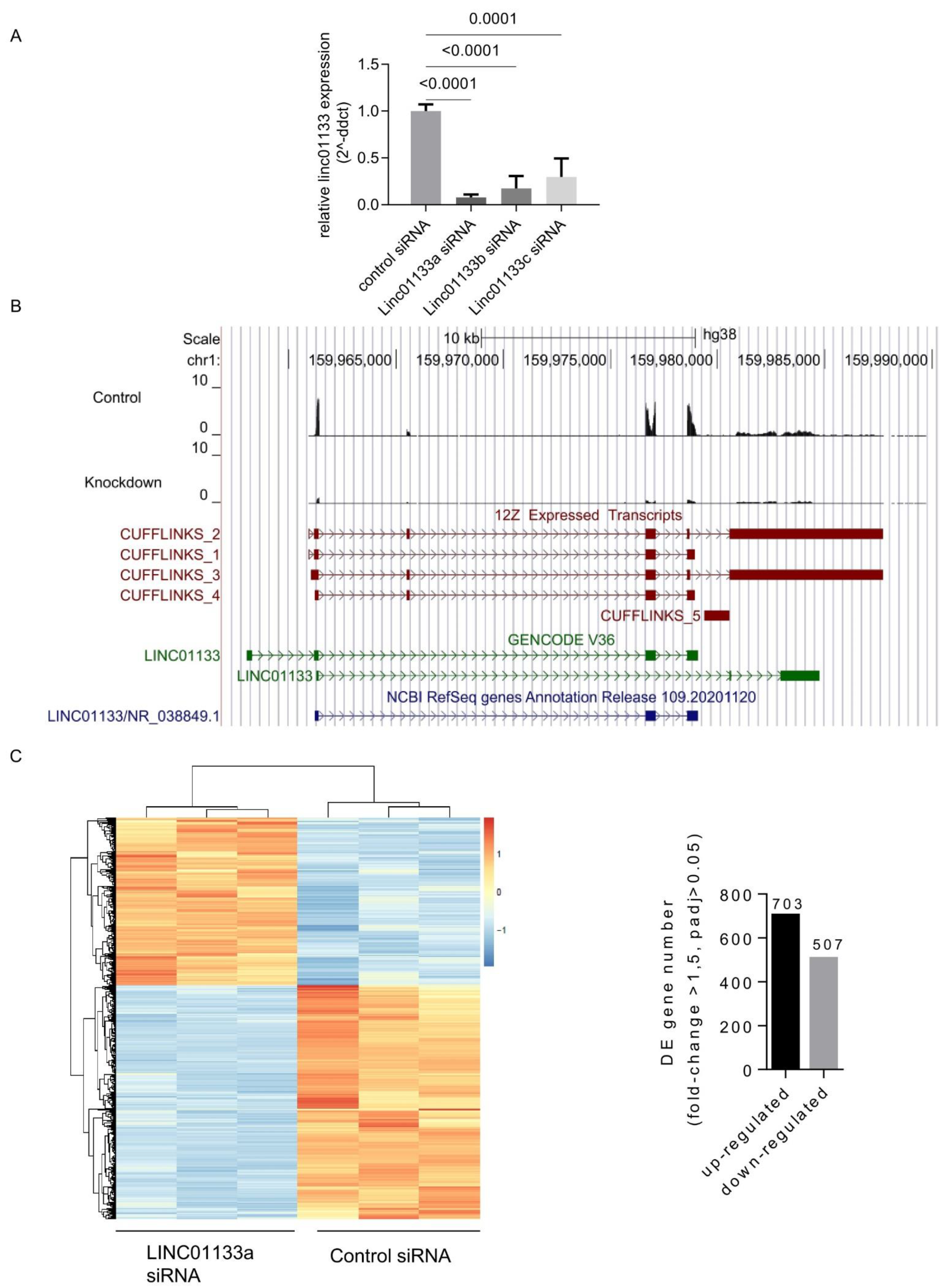 Ijms 22 08385 g002 Ijms 22 08385 g002