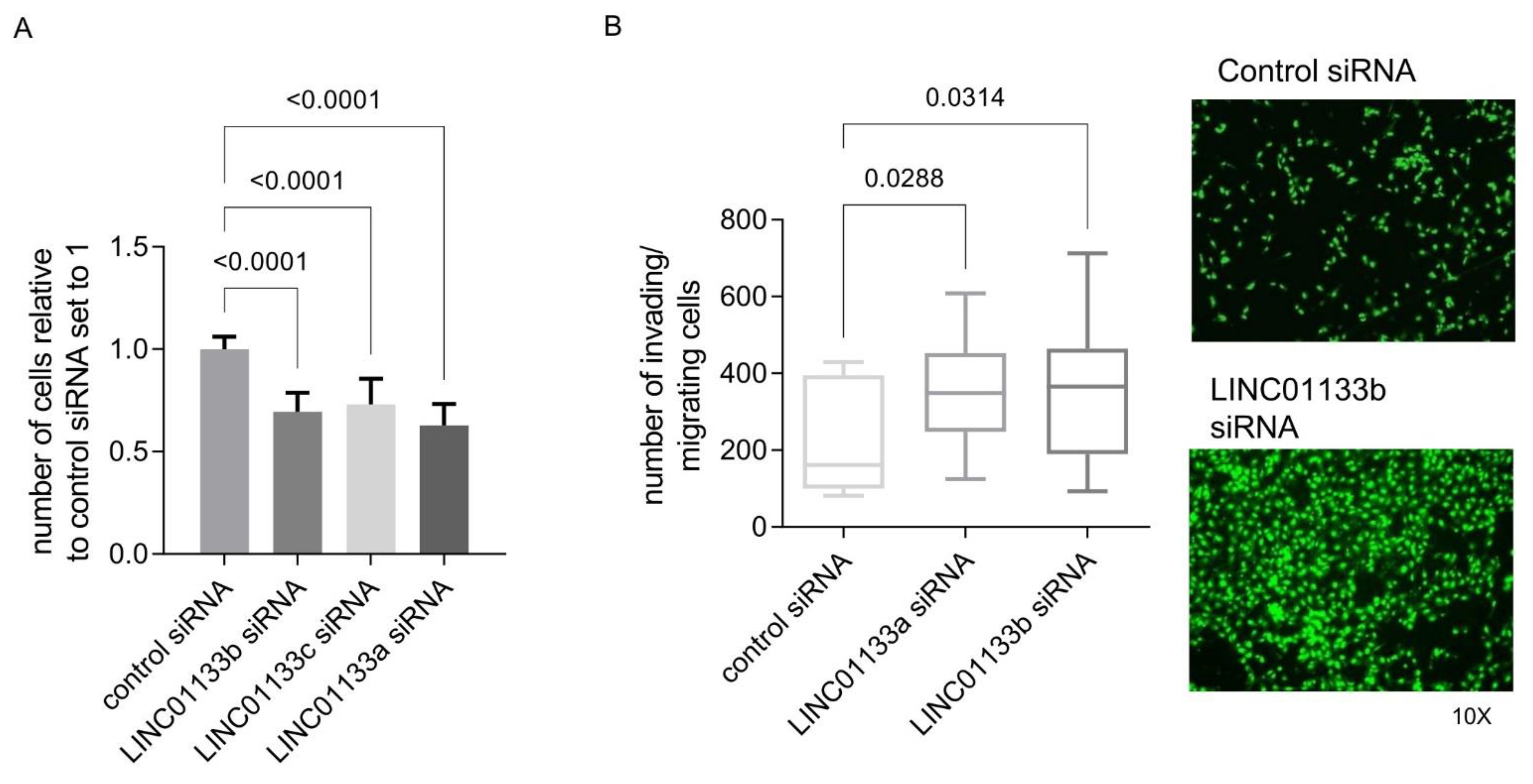 Ijms 22 08385 g003 Ijms 22 08385 g003
