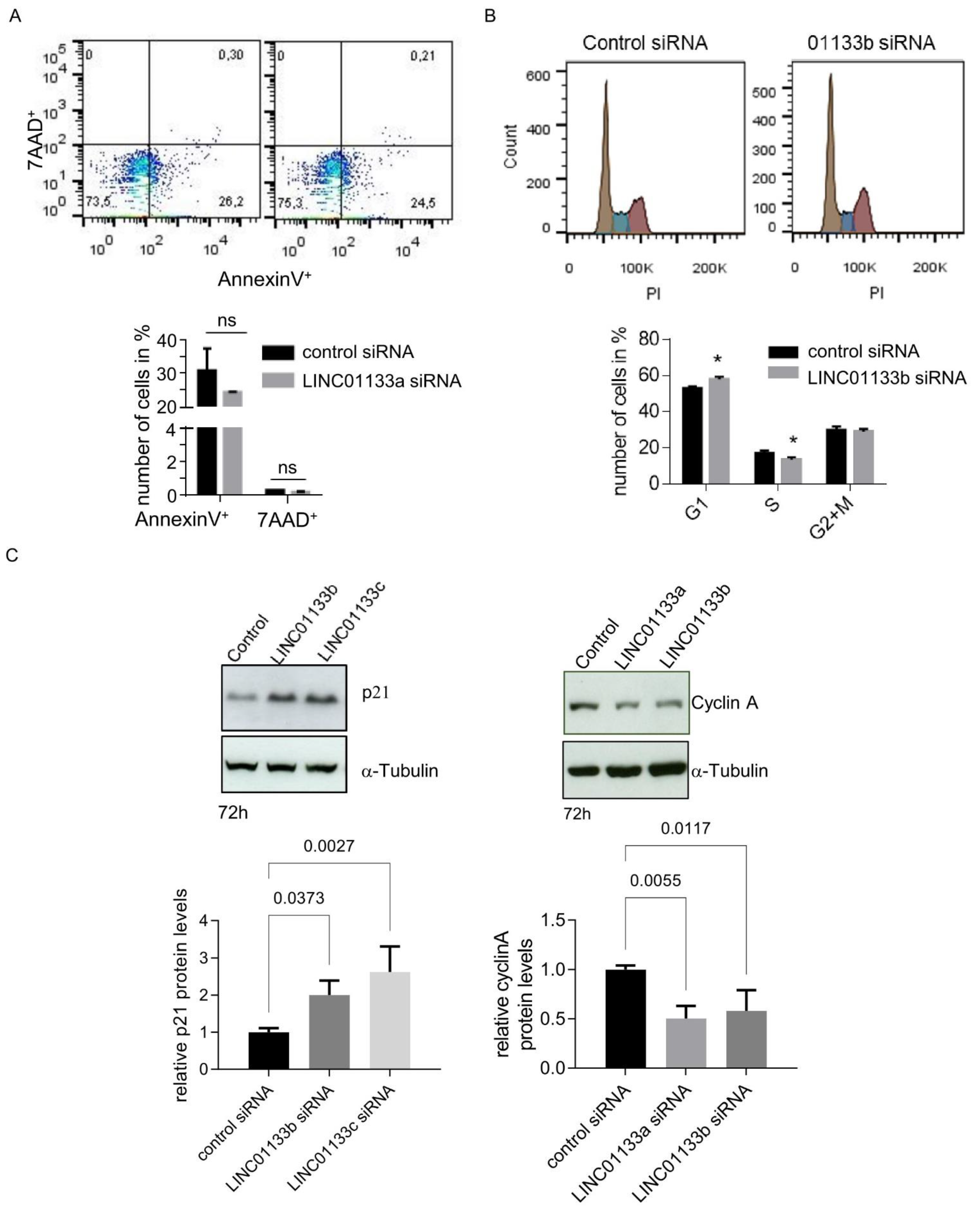 Ijms 22 08385 g004 Ijms 22 08385 g004