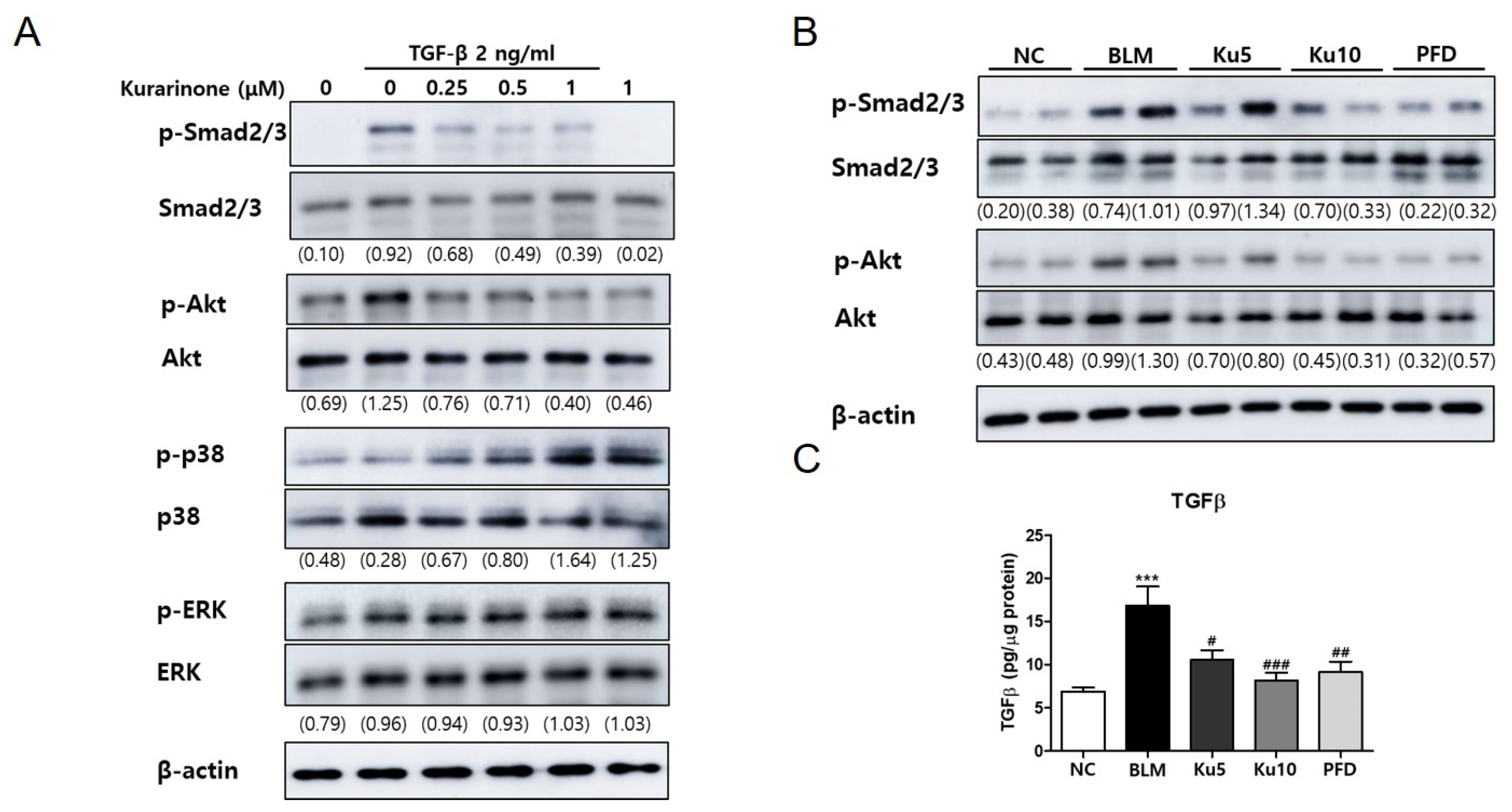 Ijms 22 08388 g004 550