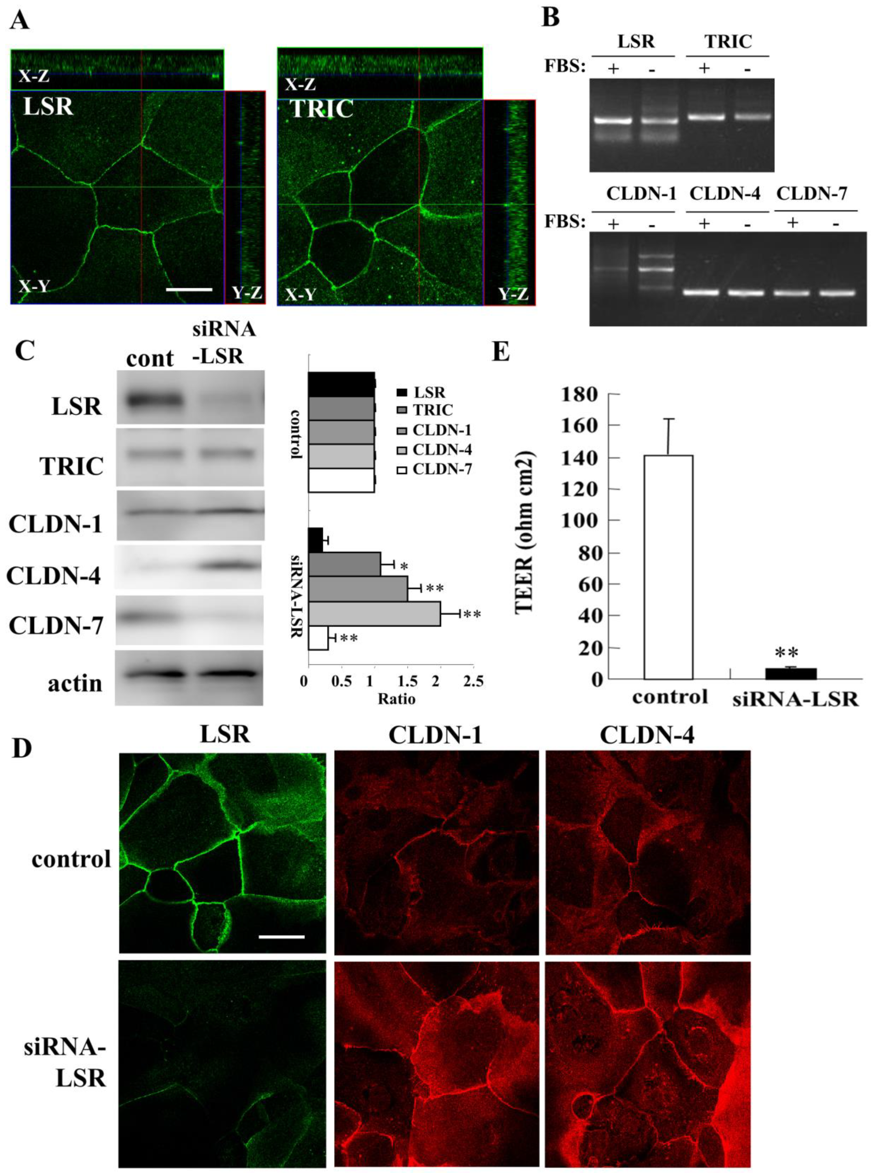 Ijms 22 08390 g001 550