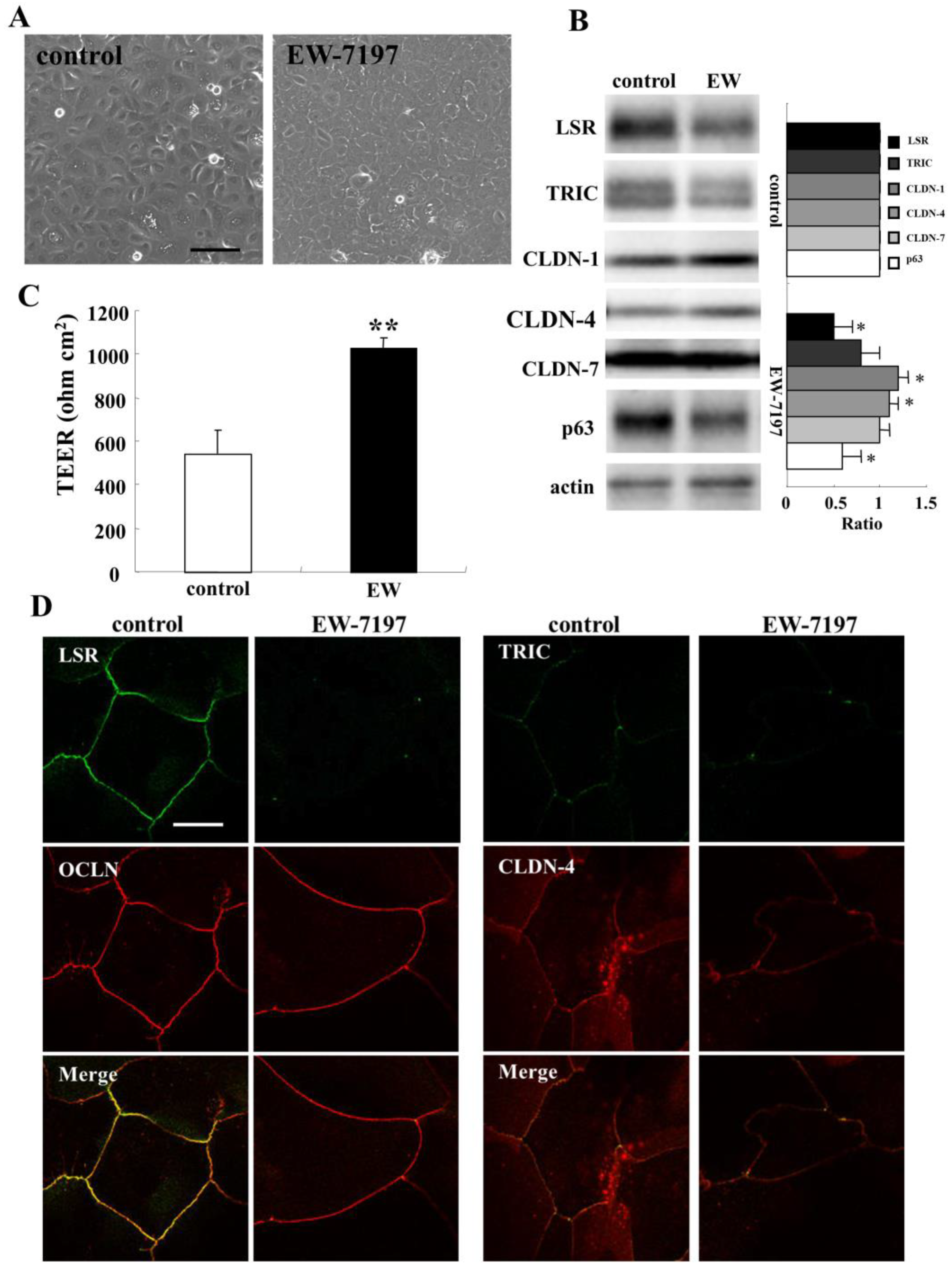 Ijms 22 08390 g002 550