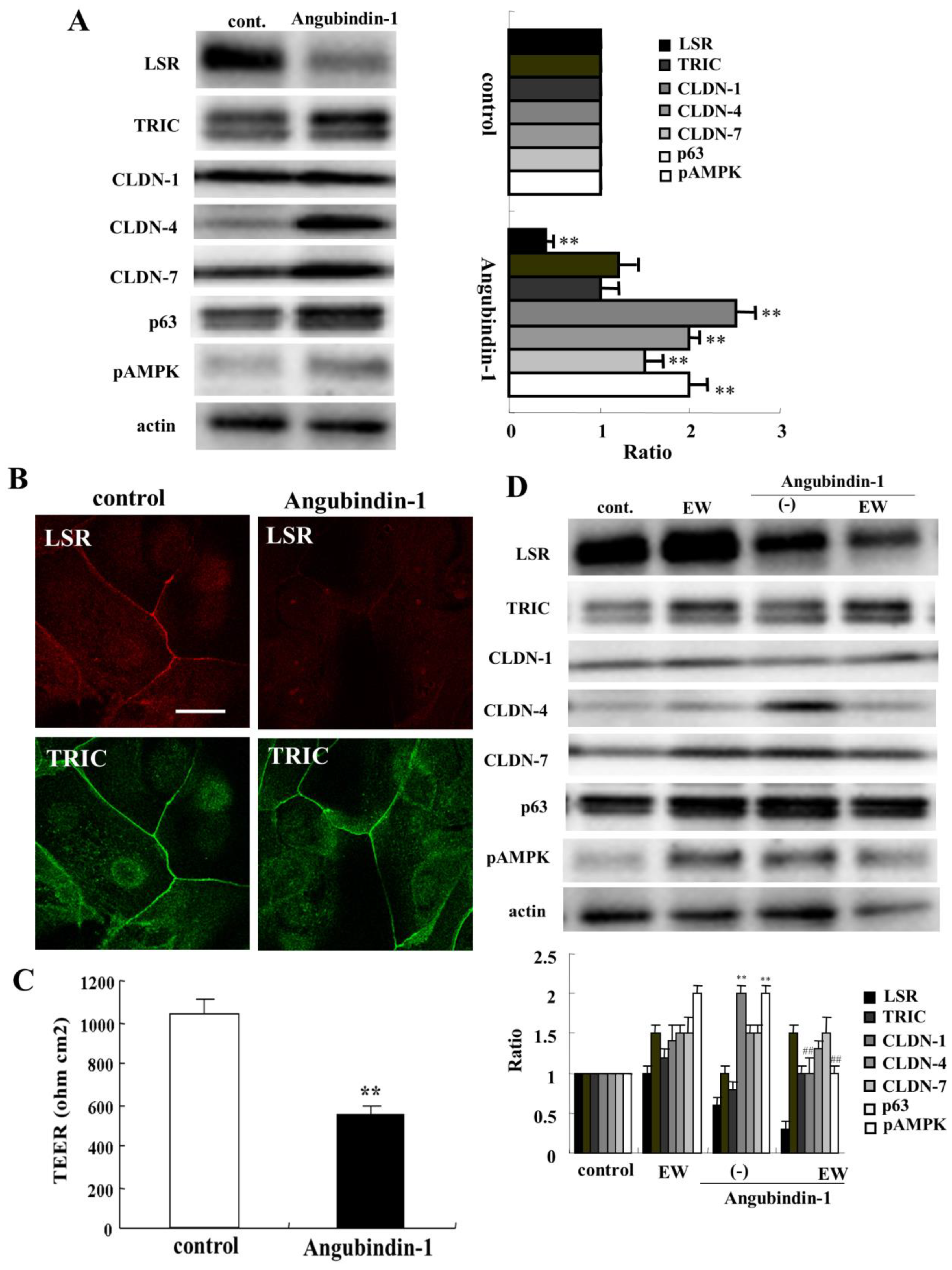 Ijms 22 08390 g004 550