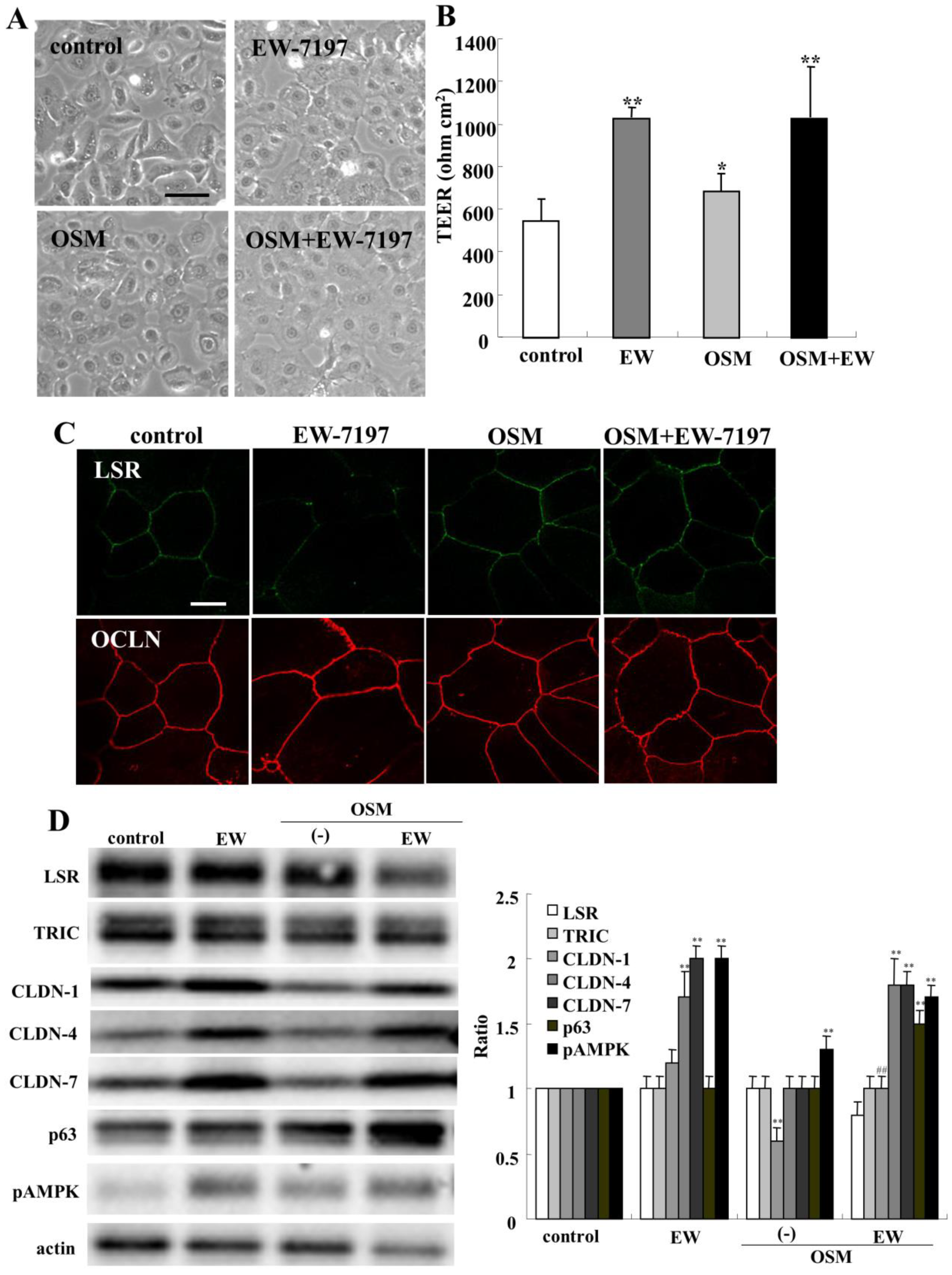 Ijms 22 08390 g008 550