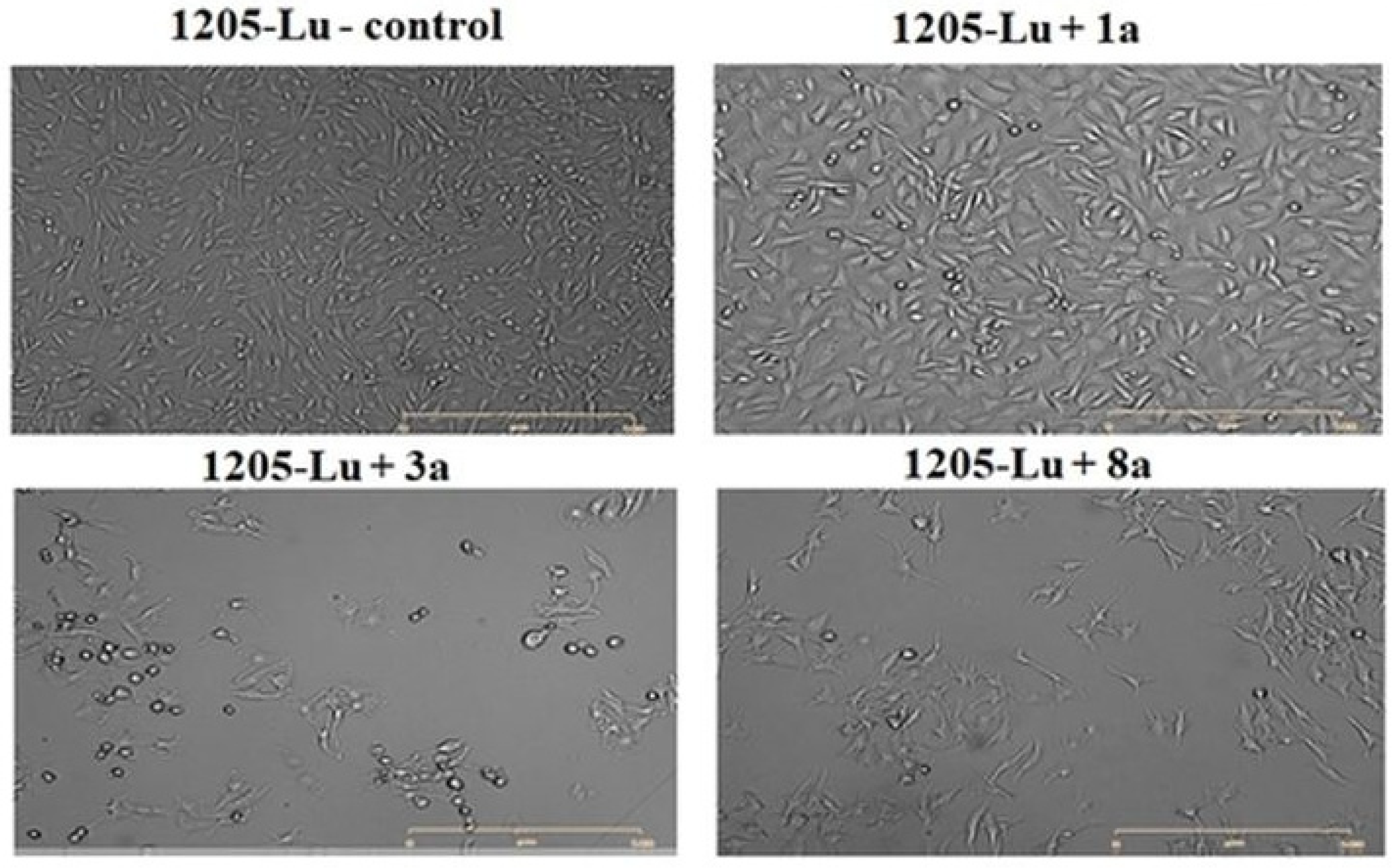 Ijms 22 08397 g001b 550