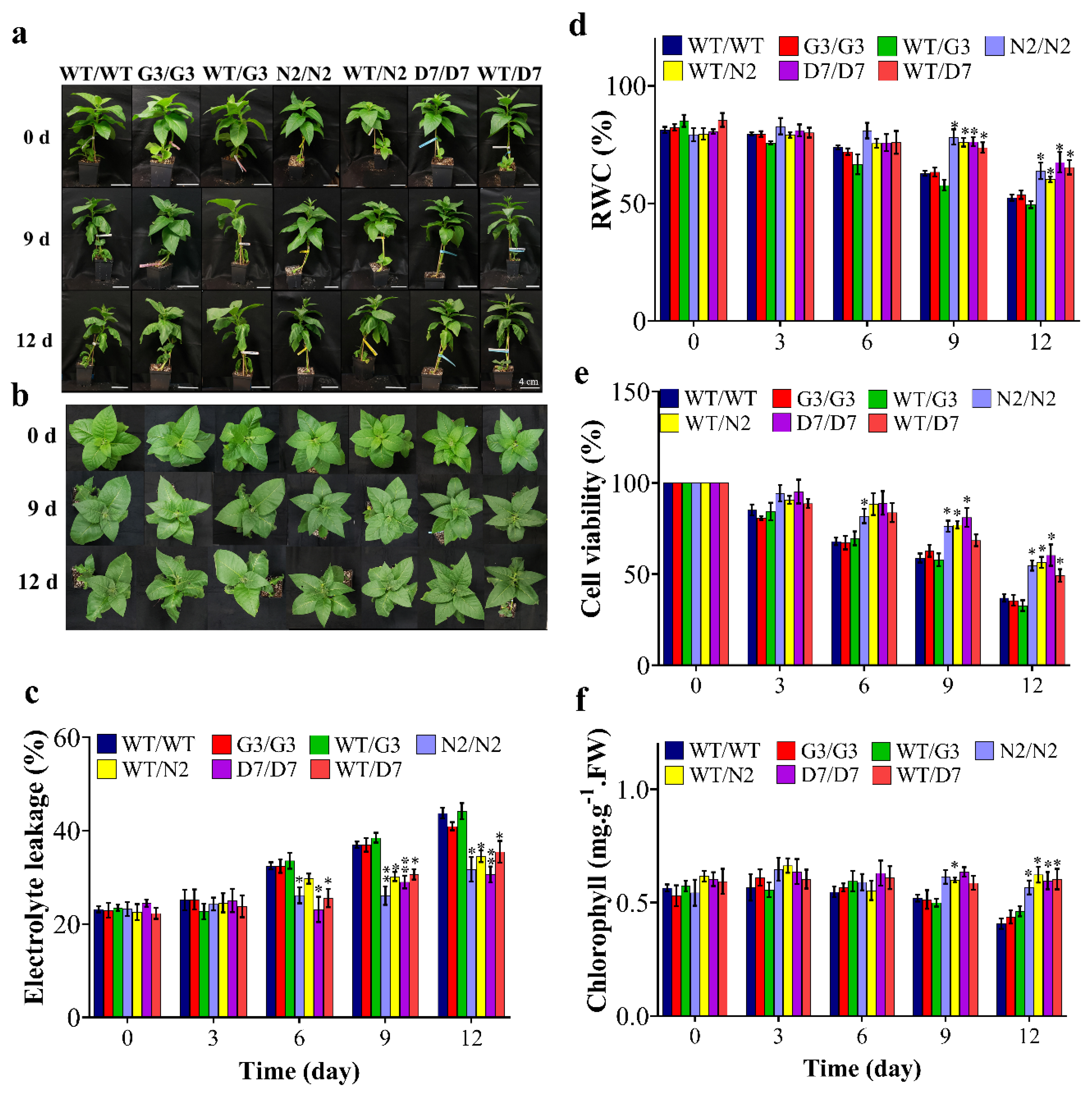Ijms 22 08398 g008 550