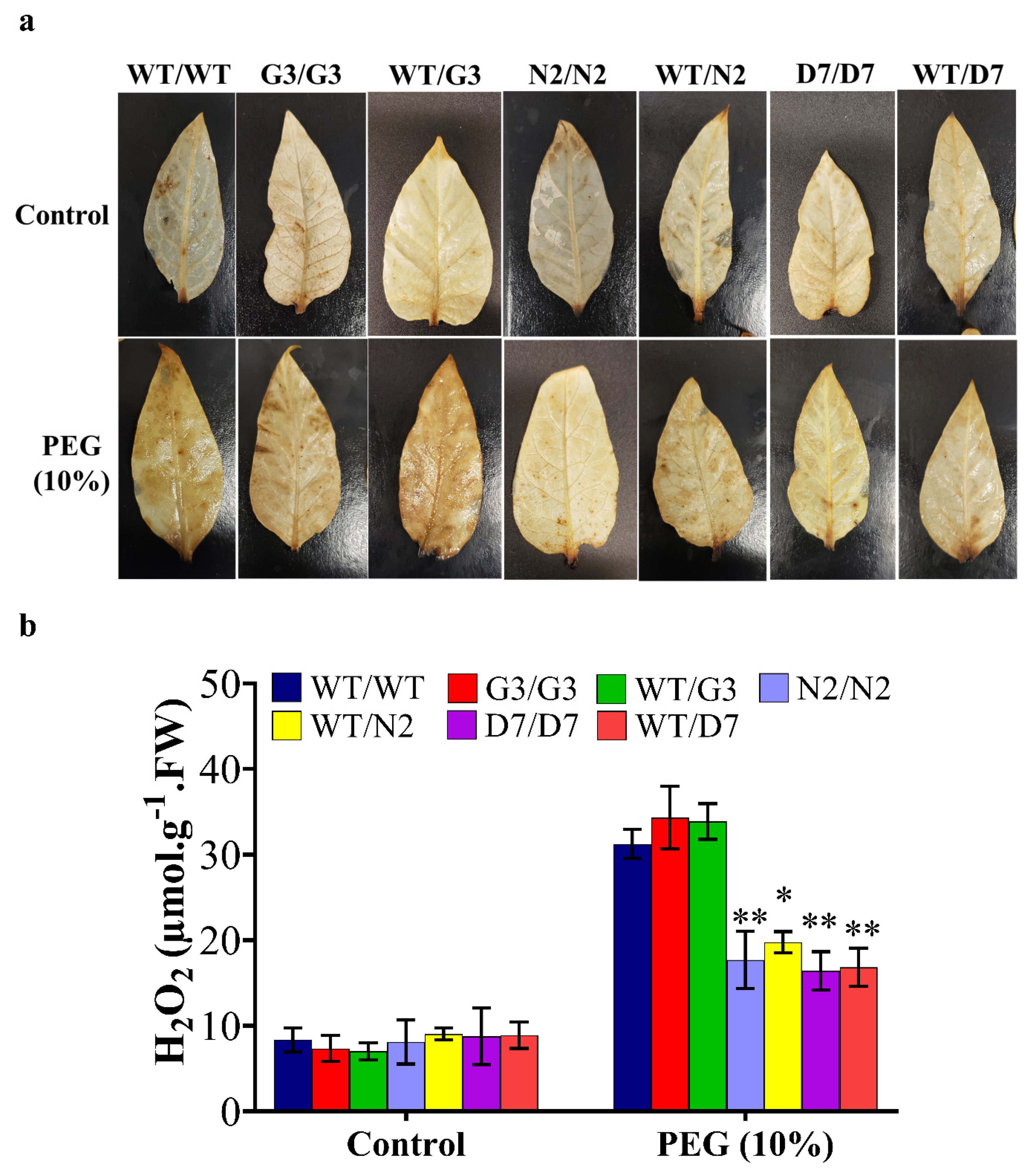 Ijms 22 08398 g009 550