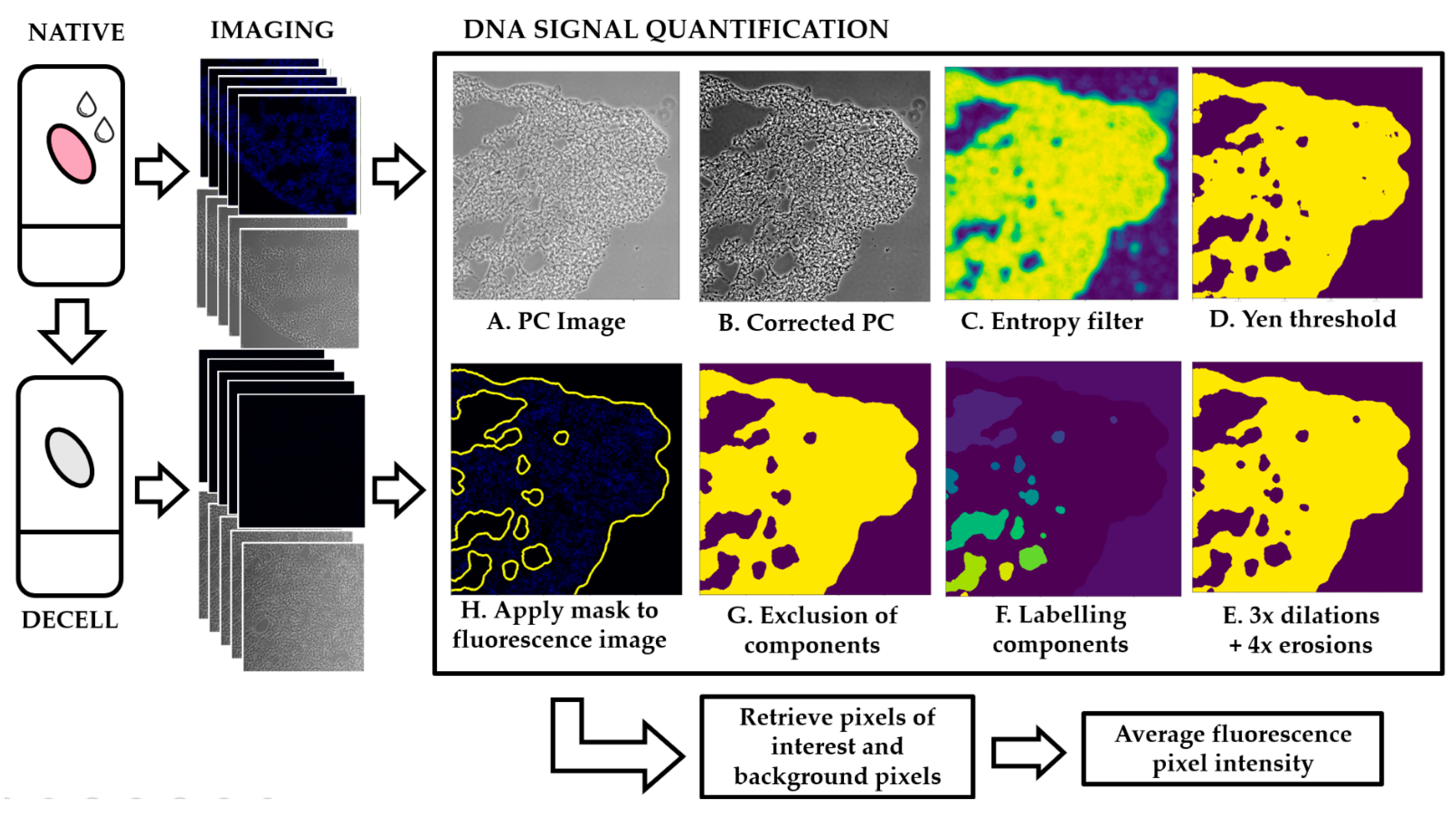 Ijms 22 08399 g001 550