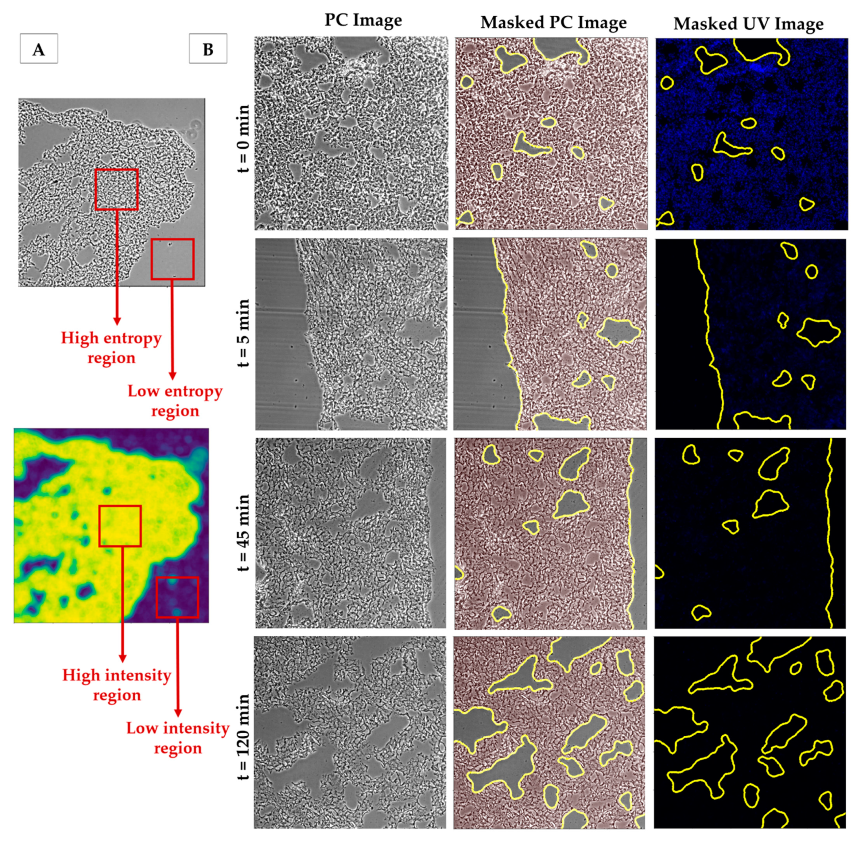 Ijms 22 08399 g002 550