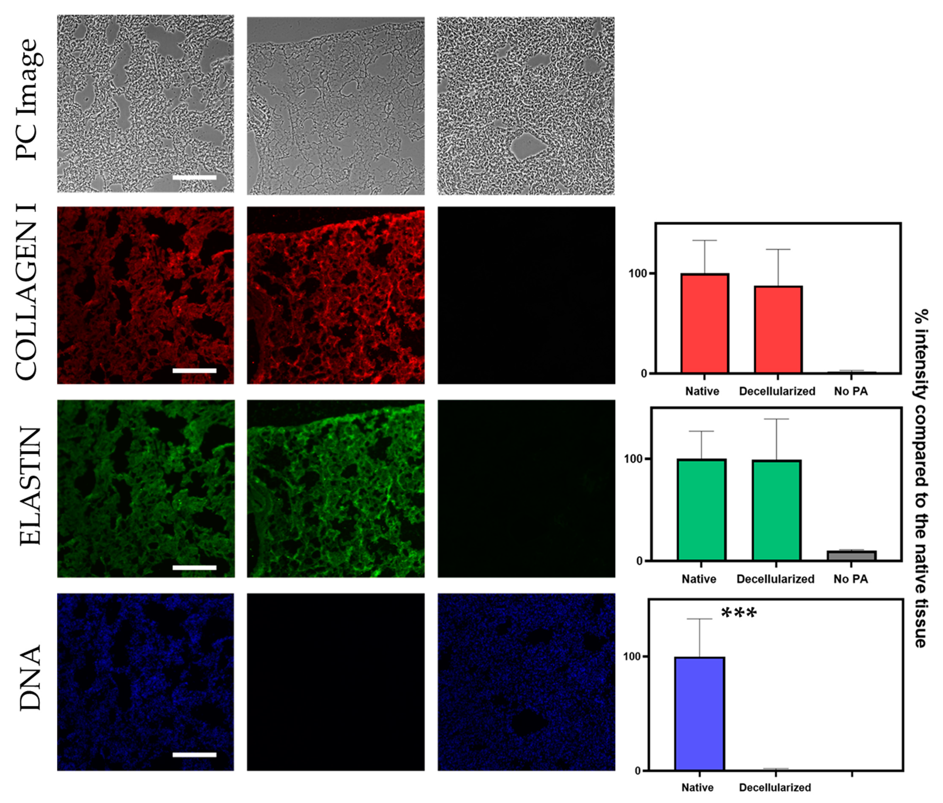 Ijms 22 08399 g005 550