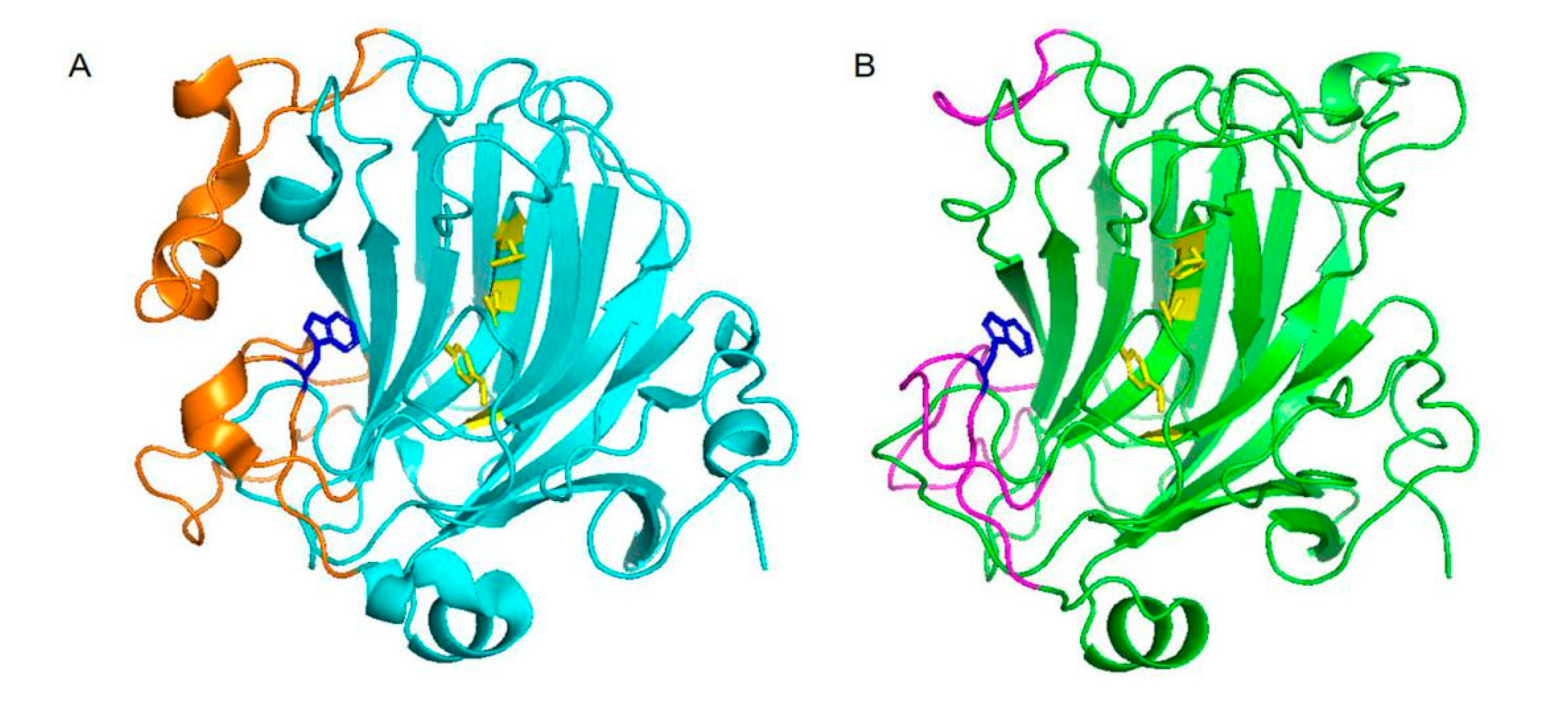 Ijms 22 08402 g002 550