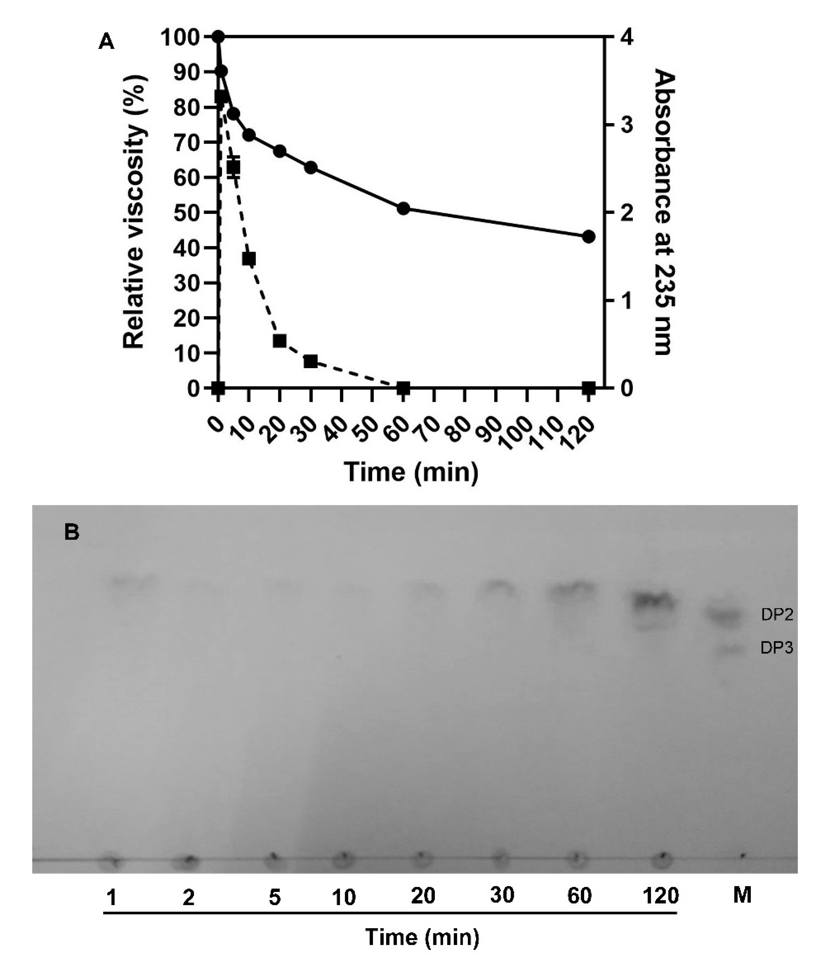 Ijms 22 08402 g006 550