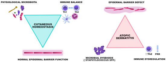 リム The Influence of Microbiome Dysbiosis and Bacterial Biofilms
