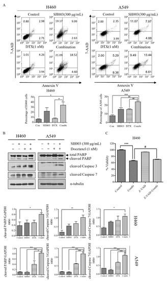 Synergistic Antitumor Activity of SH003 and Docetaxel via EGFR ...