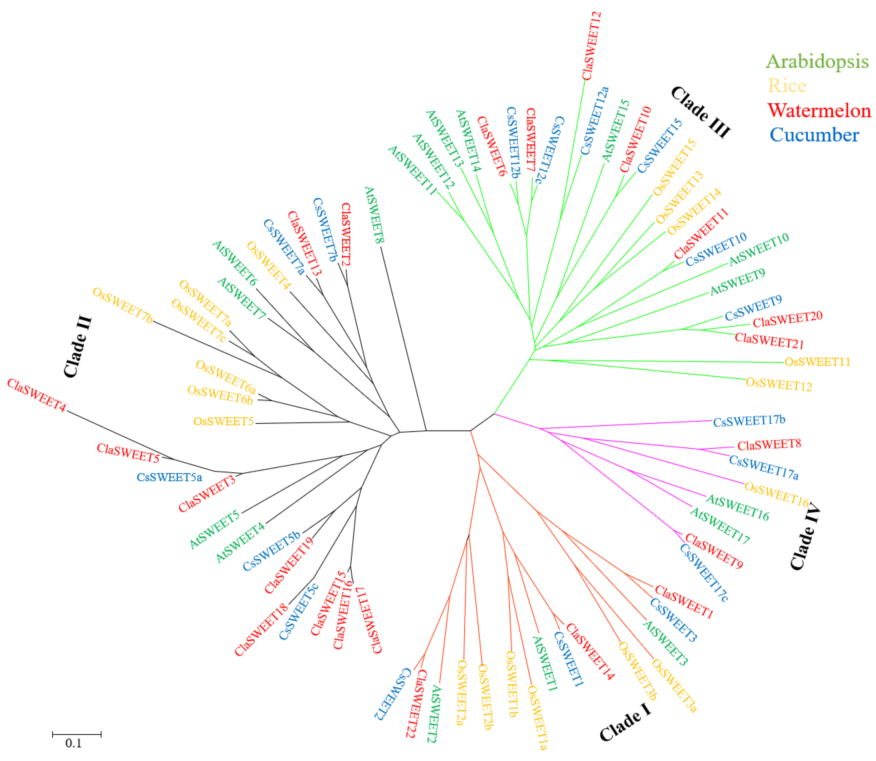 Ijms 22 08407 g002 550
