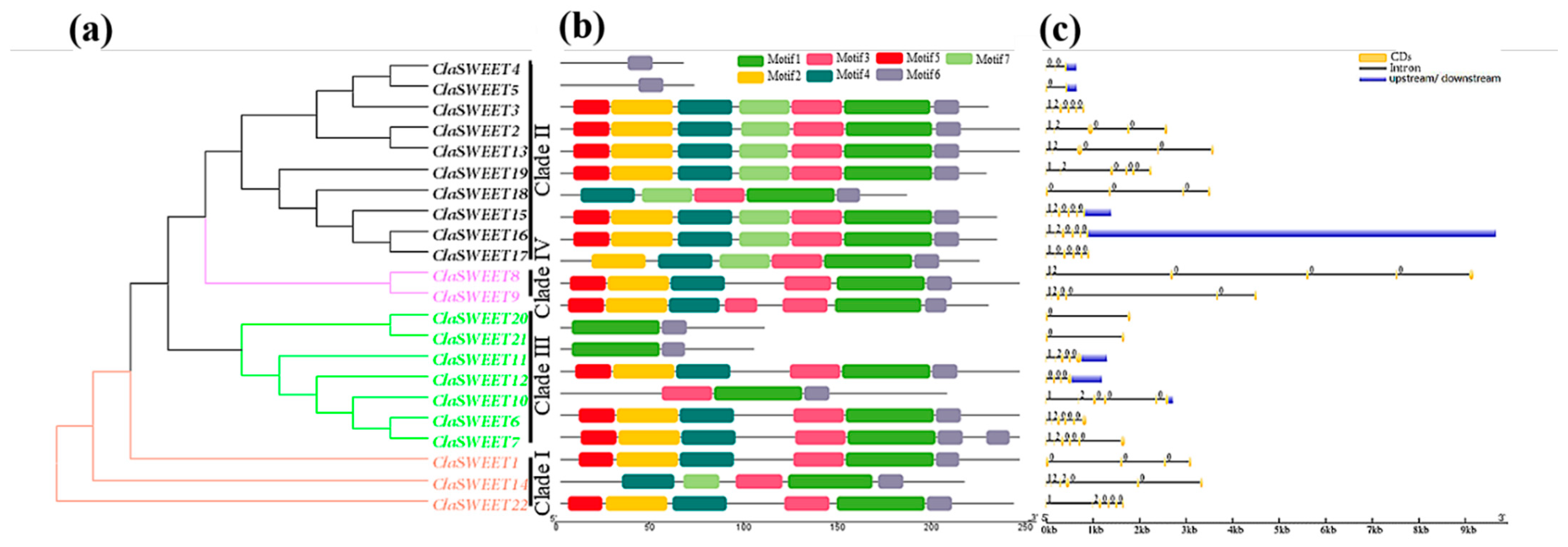 Ijms 22 08407 g004 550