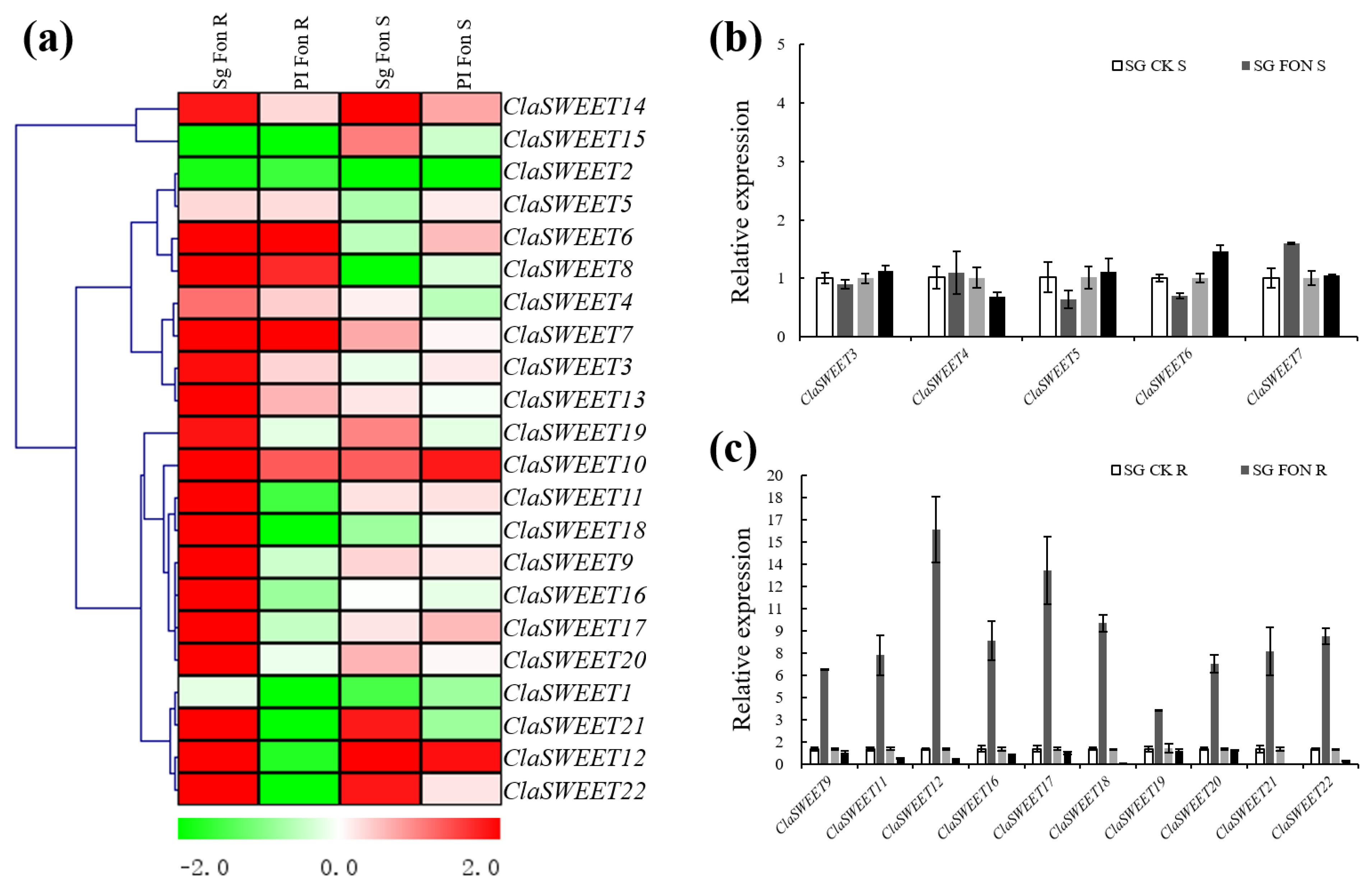 Ijms 22 08407 g007 550