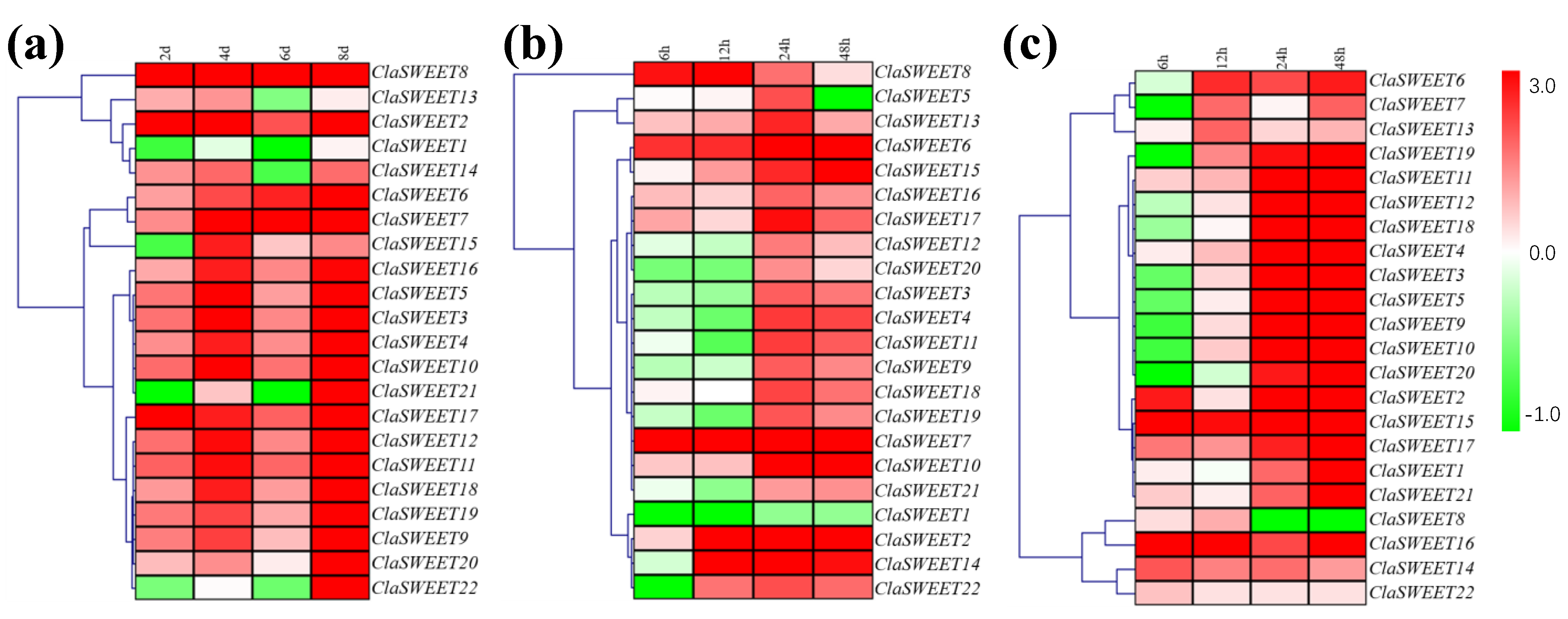 Ijms 22 08407 g008 550