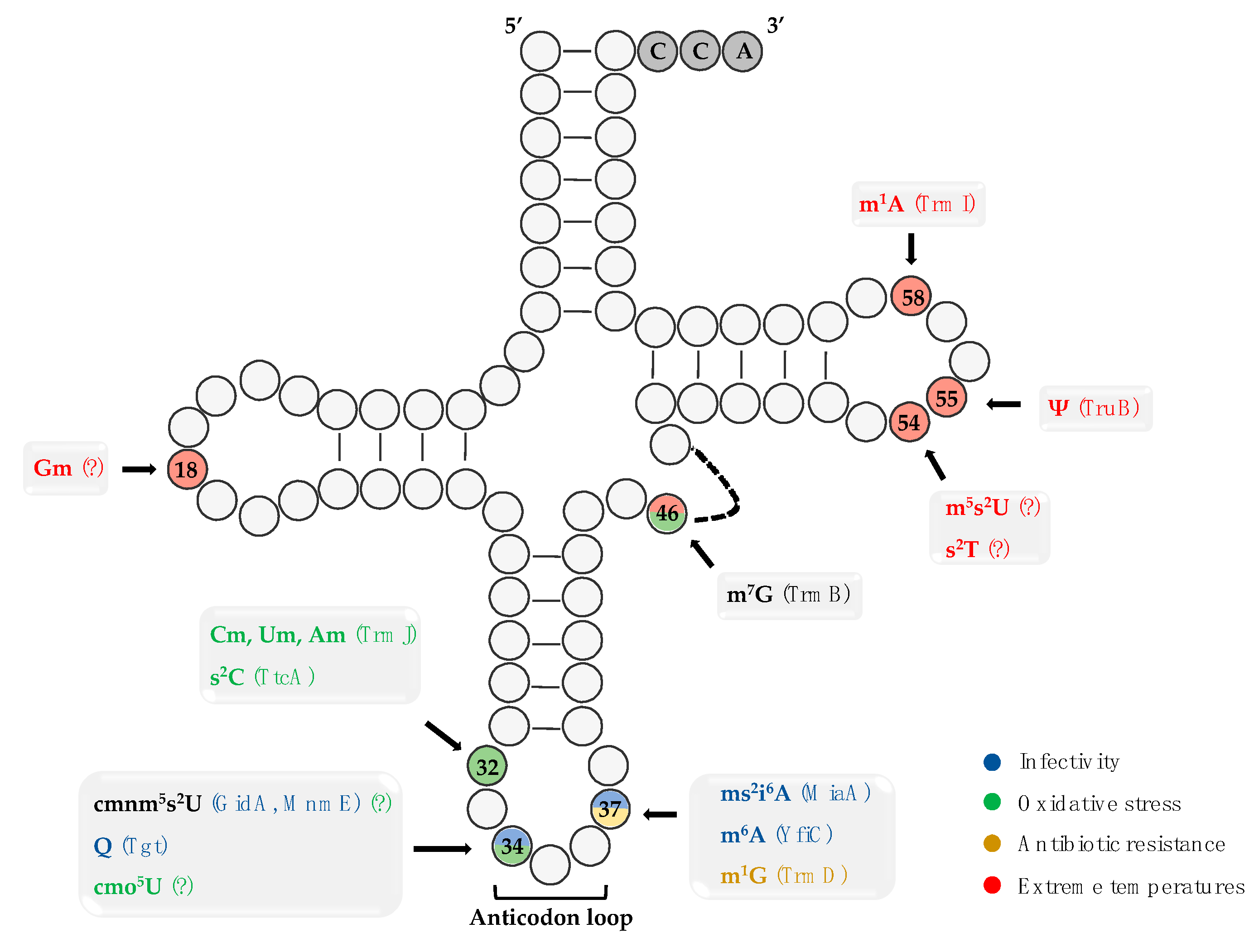 Ijms 22 08409 g001 550