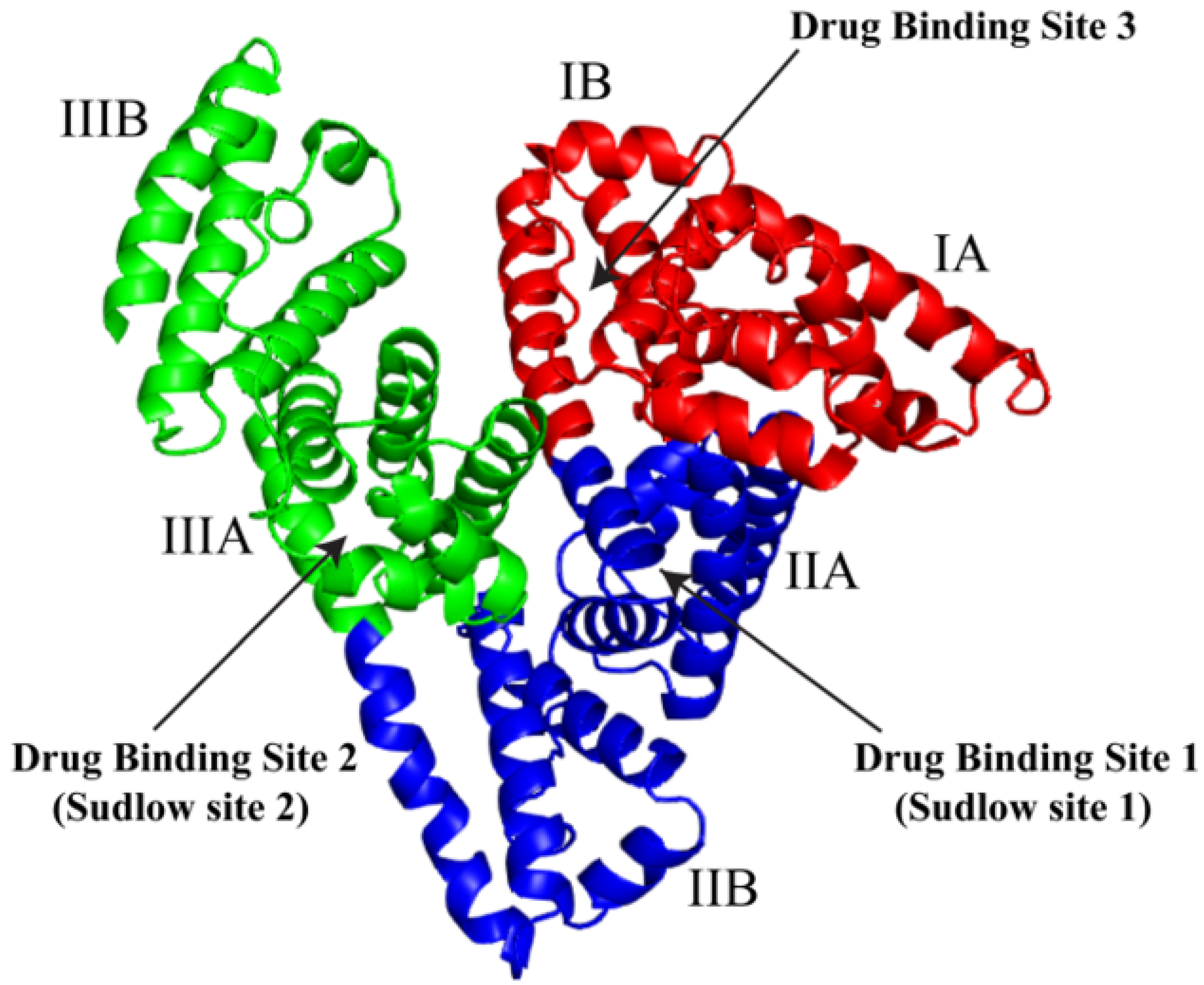 Красный домен. Альбумин молекула. Альбумин протеин. Human Serum albumin spatial structure. Egg альбумин.