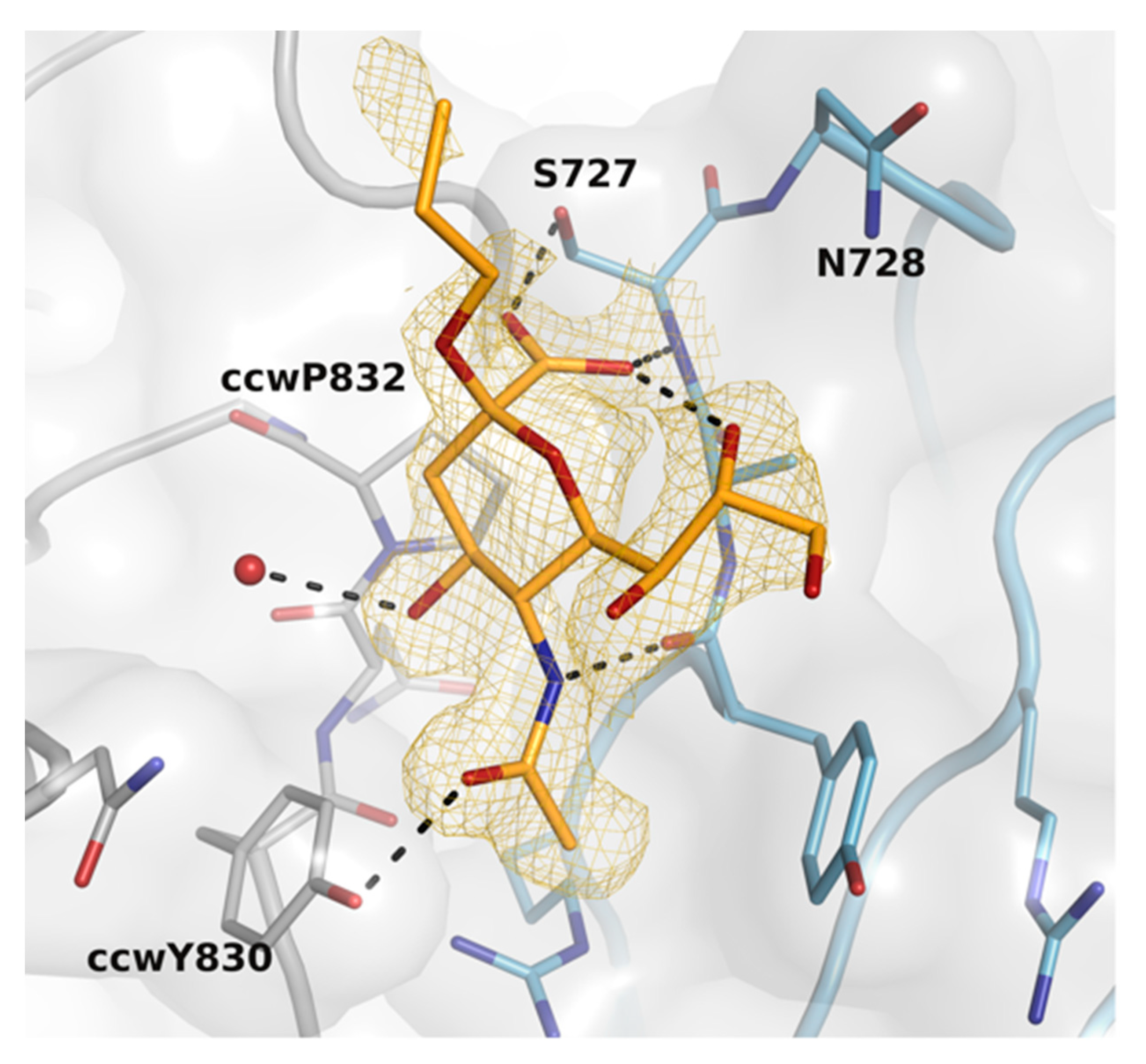 Ijms 22 08418 g003 550