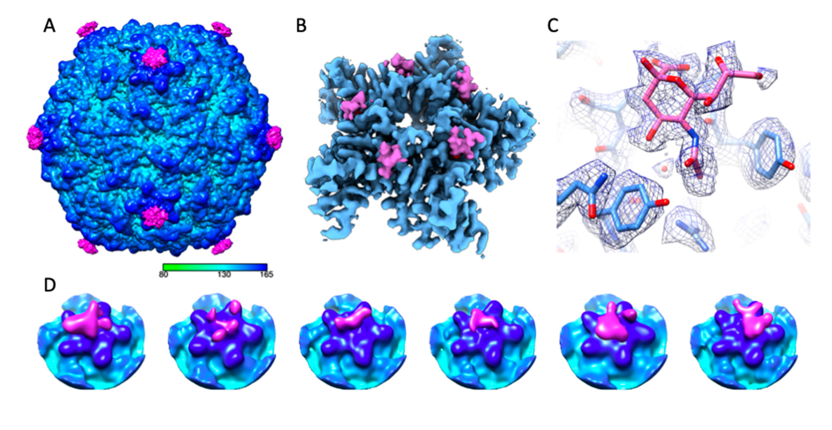 Ijms 22 08418 g004 550