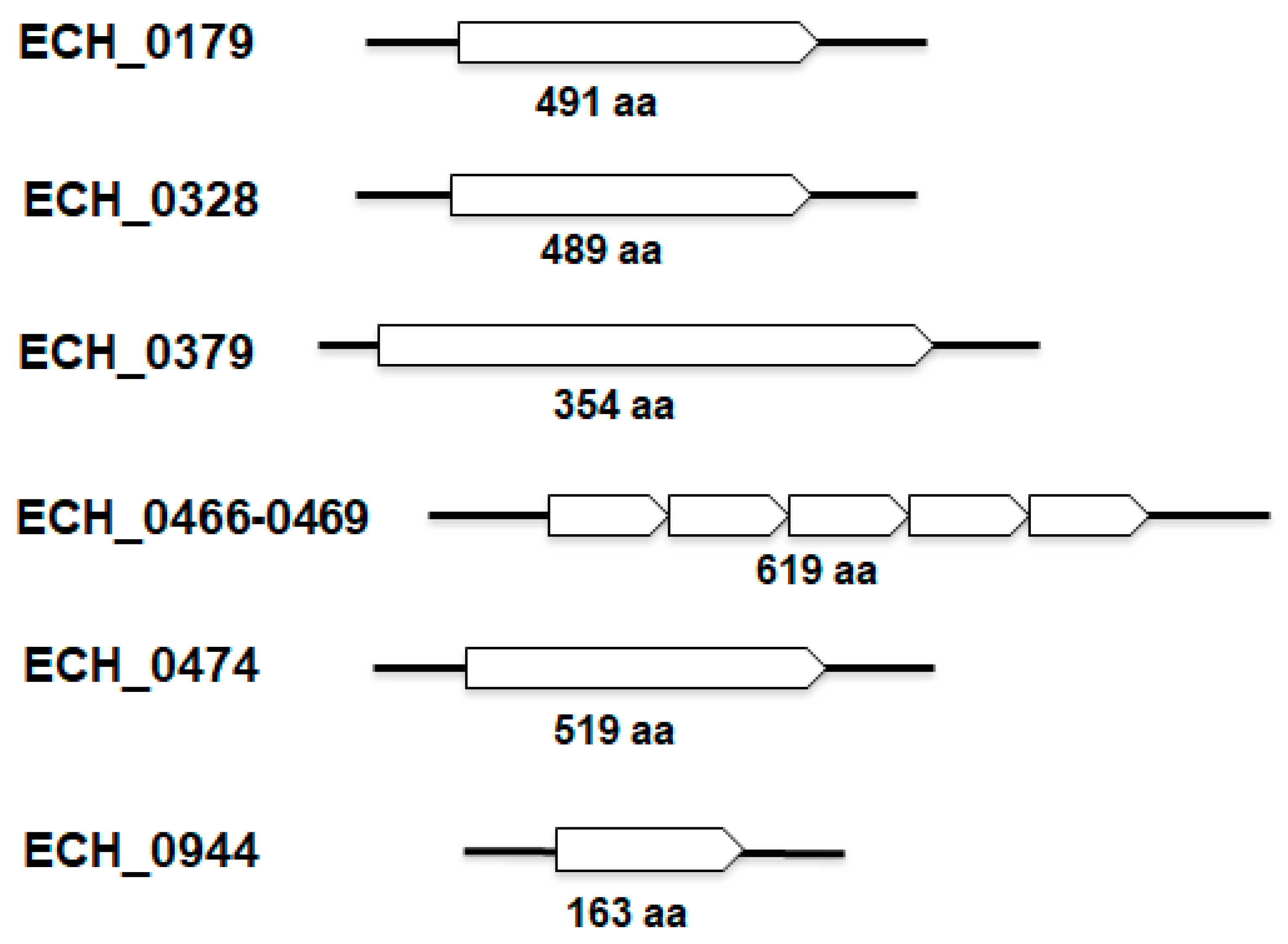 Ijms 22 08420 g001 Ijms 22 08420 g001