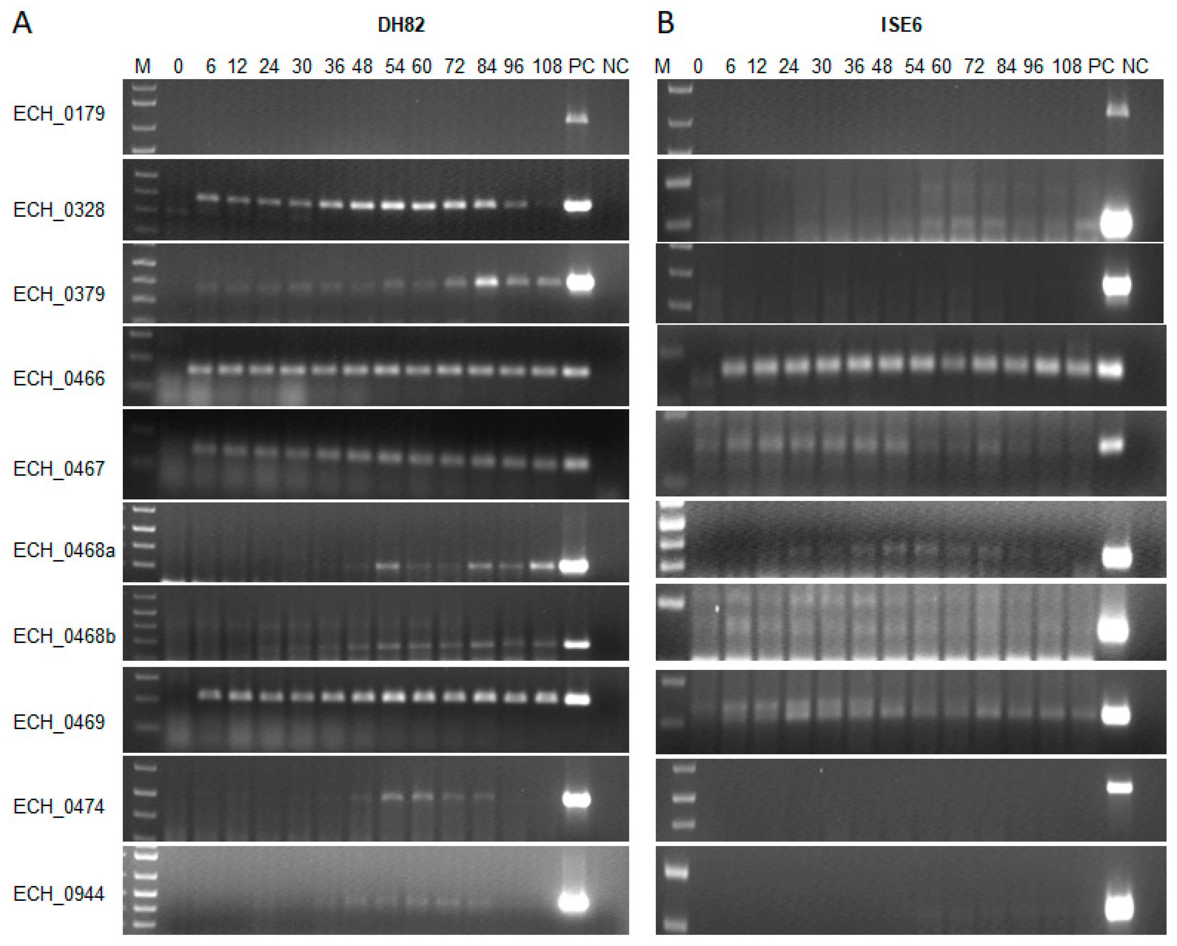 Ijms 22 08420 g002 Ijms 22 08420 g002
