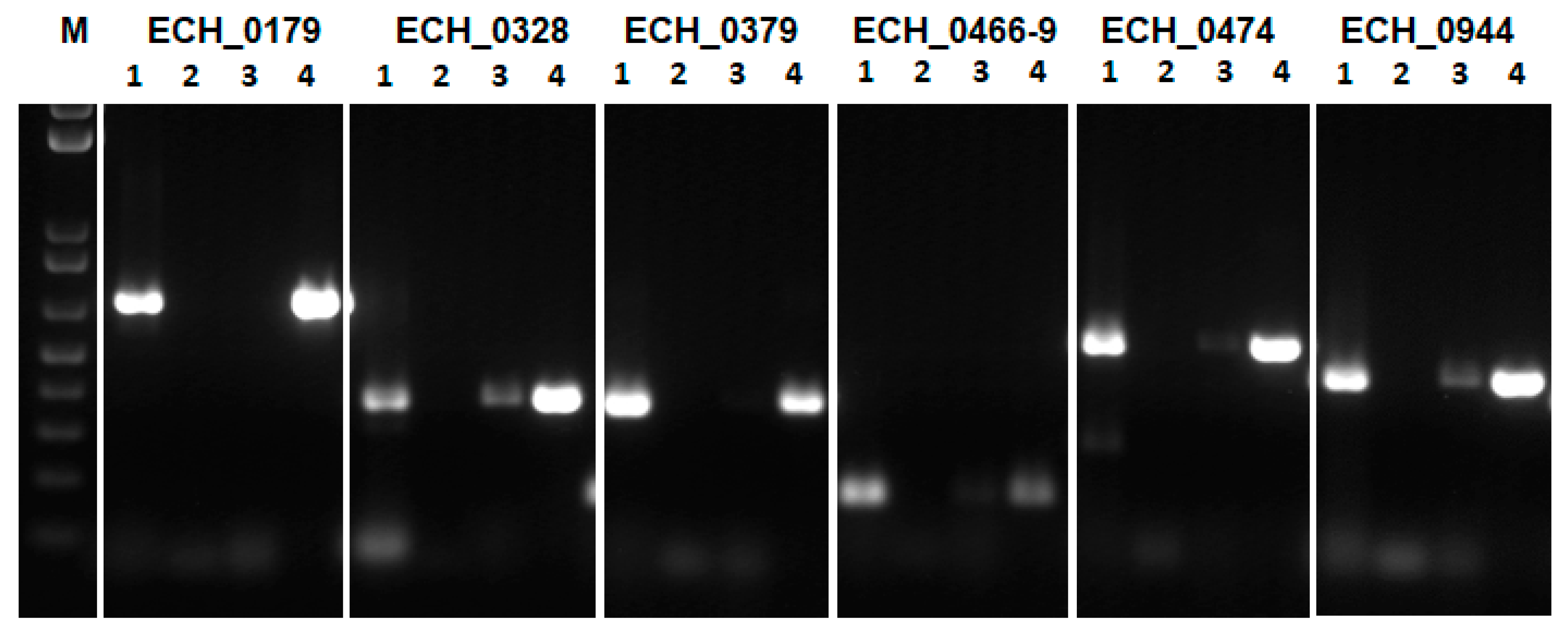 Ijms 22 08420 g003 Ijms 22 08420 g003