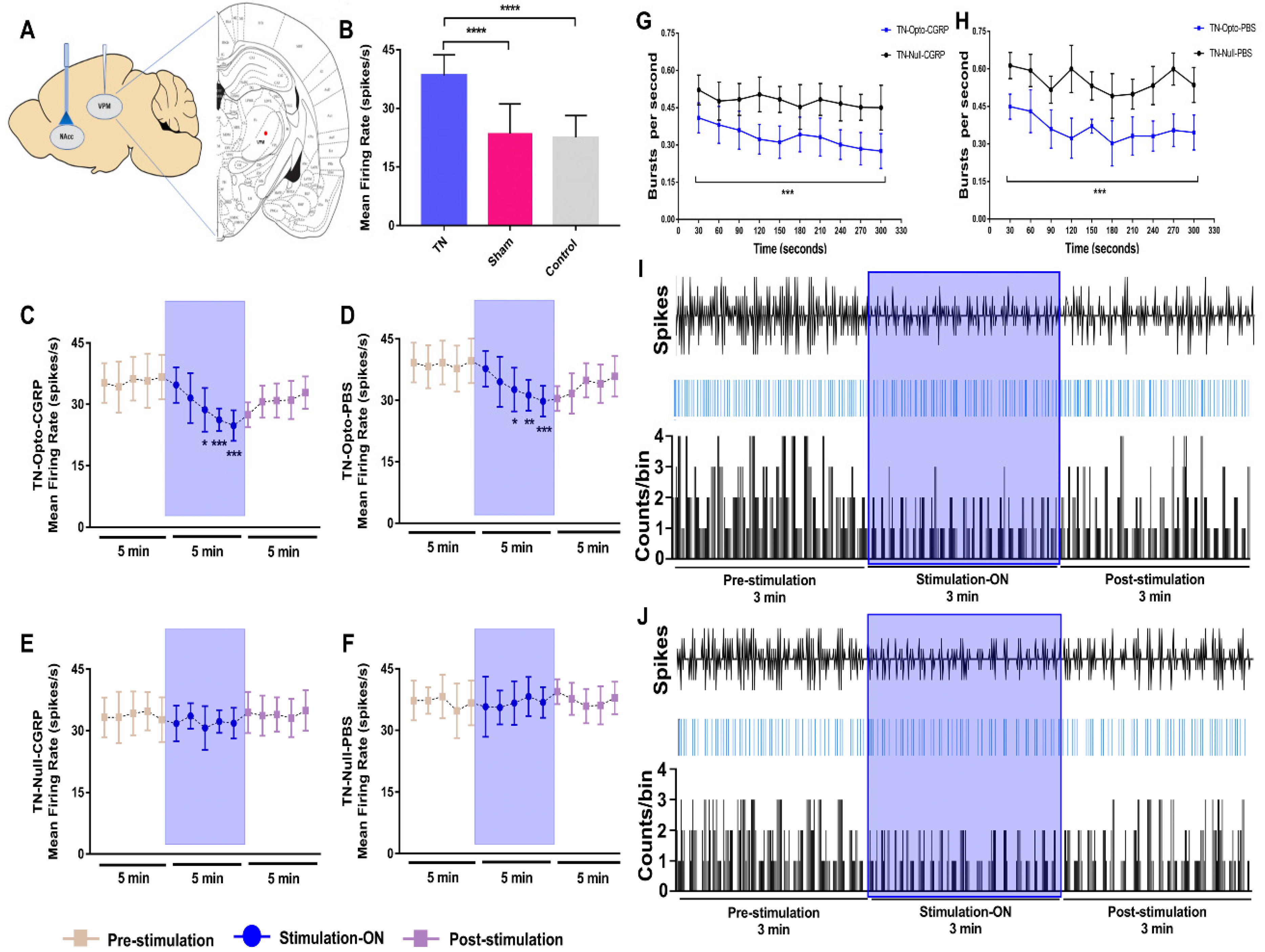 Ijms 22 08421 g002 550