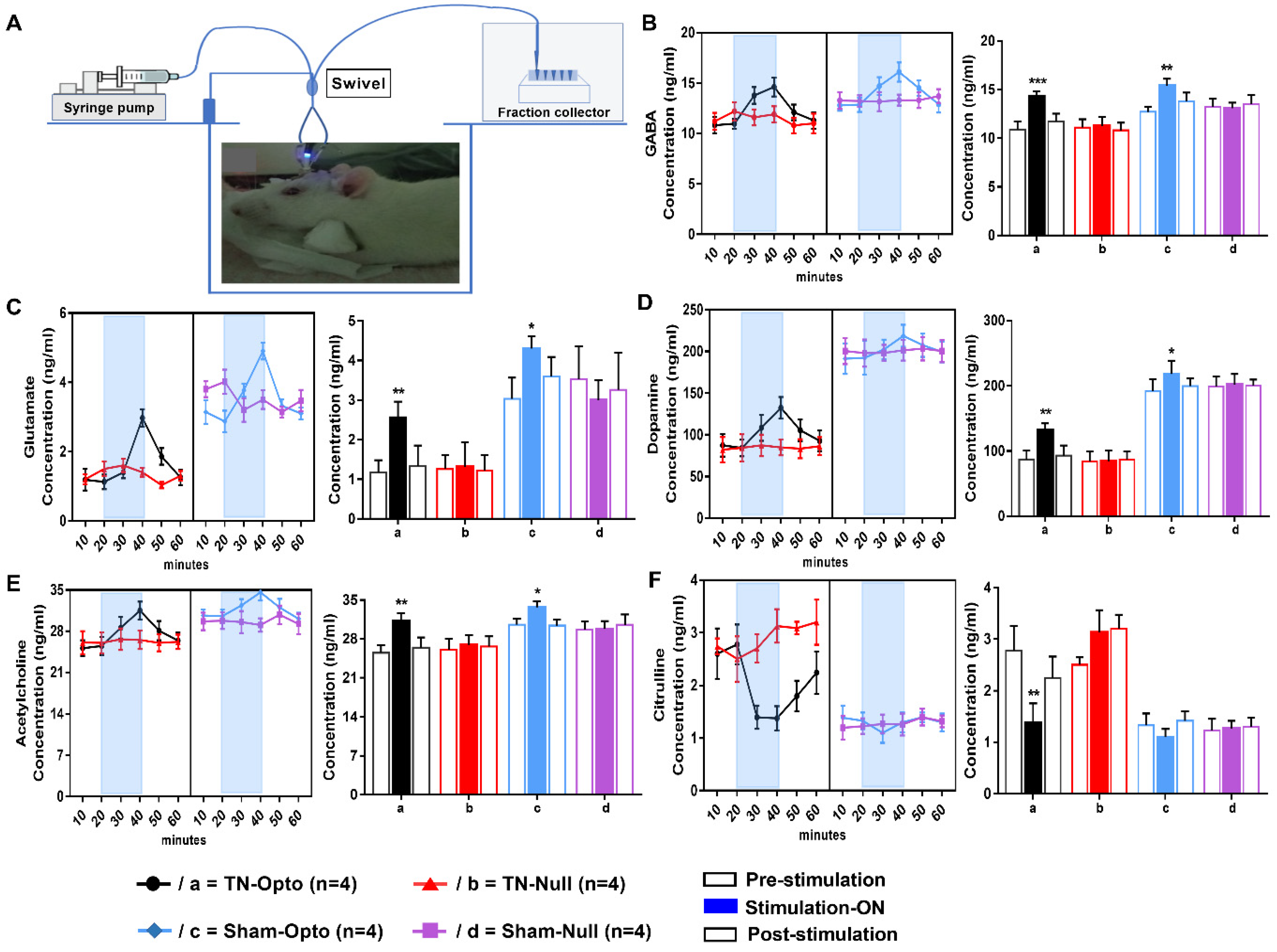Ijms 22 08421 g005 550