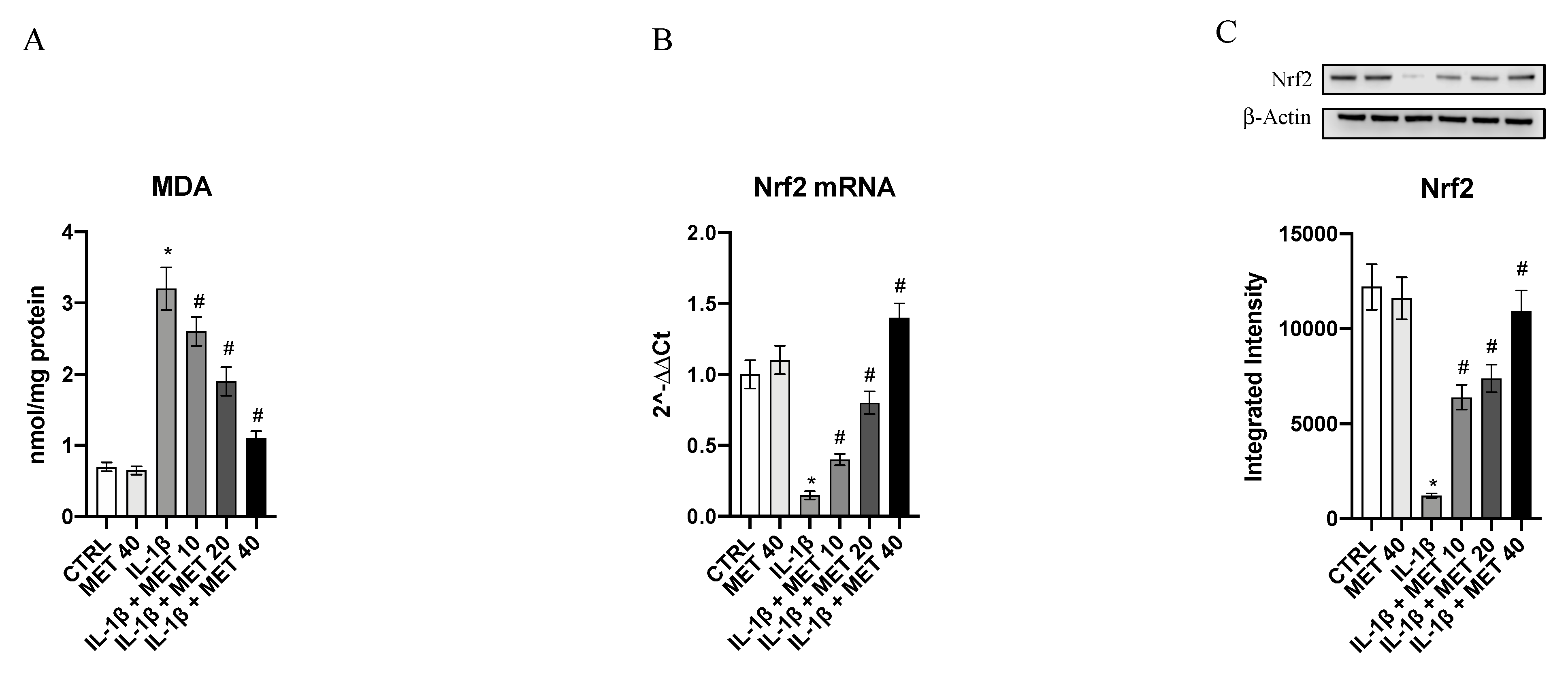 Ijms 22 08425 g002 550