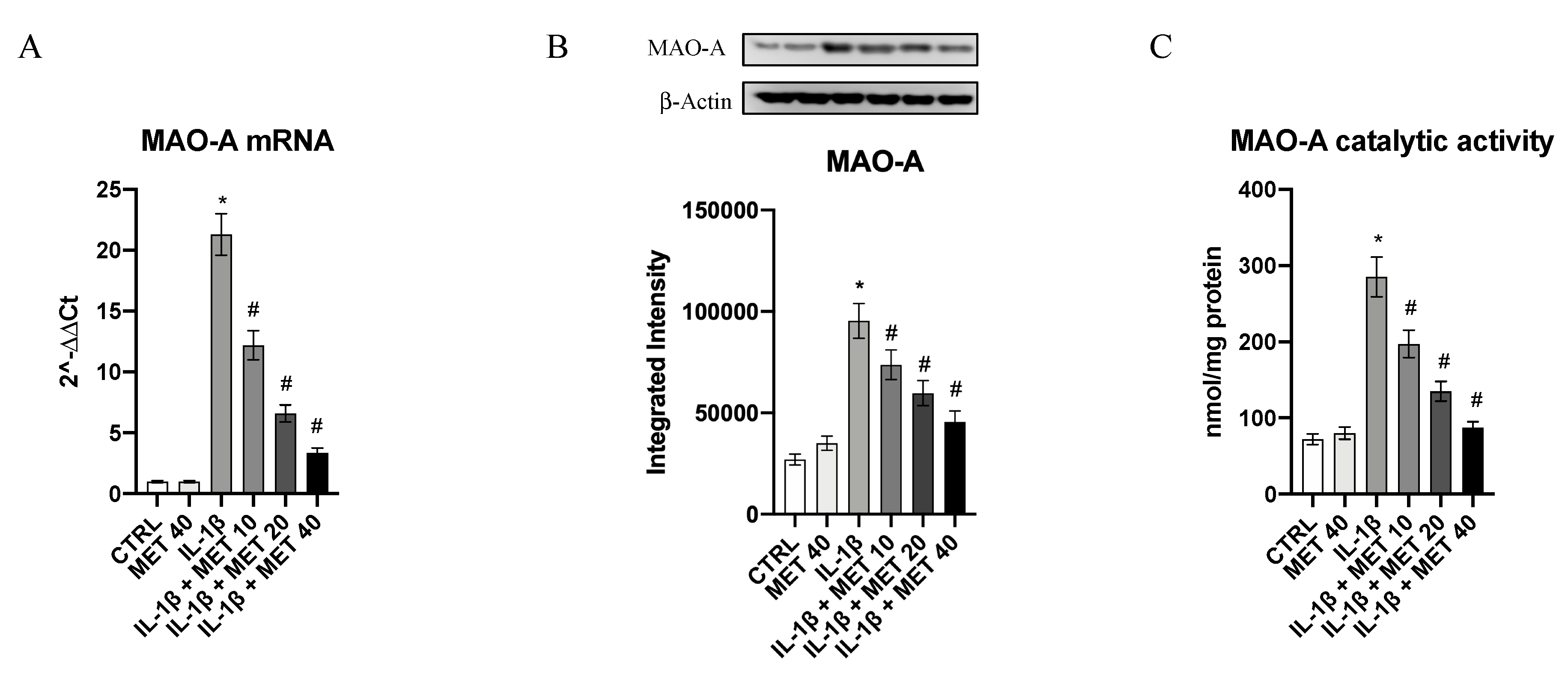Ijms 22 08425 g004 550