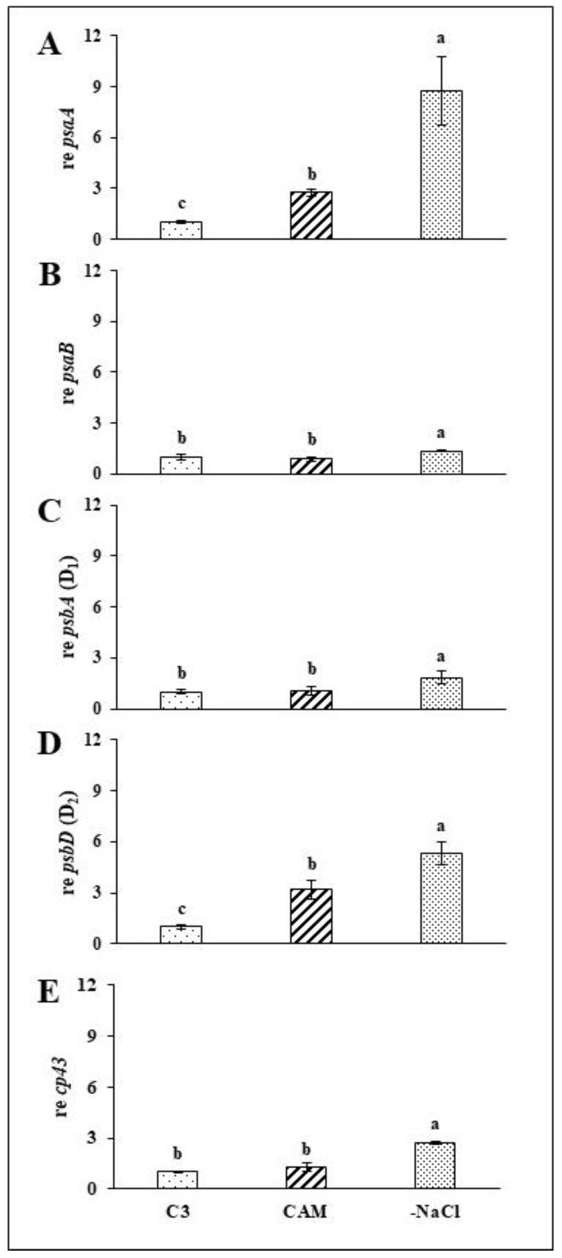 Ijms 22 08426 g005 550