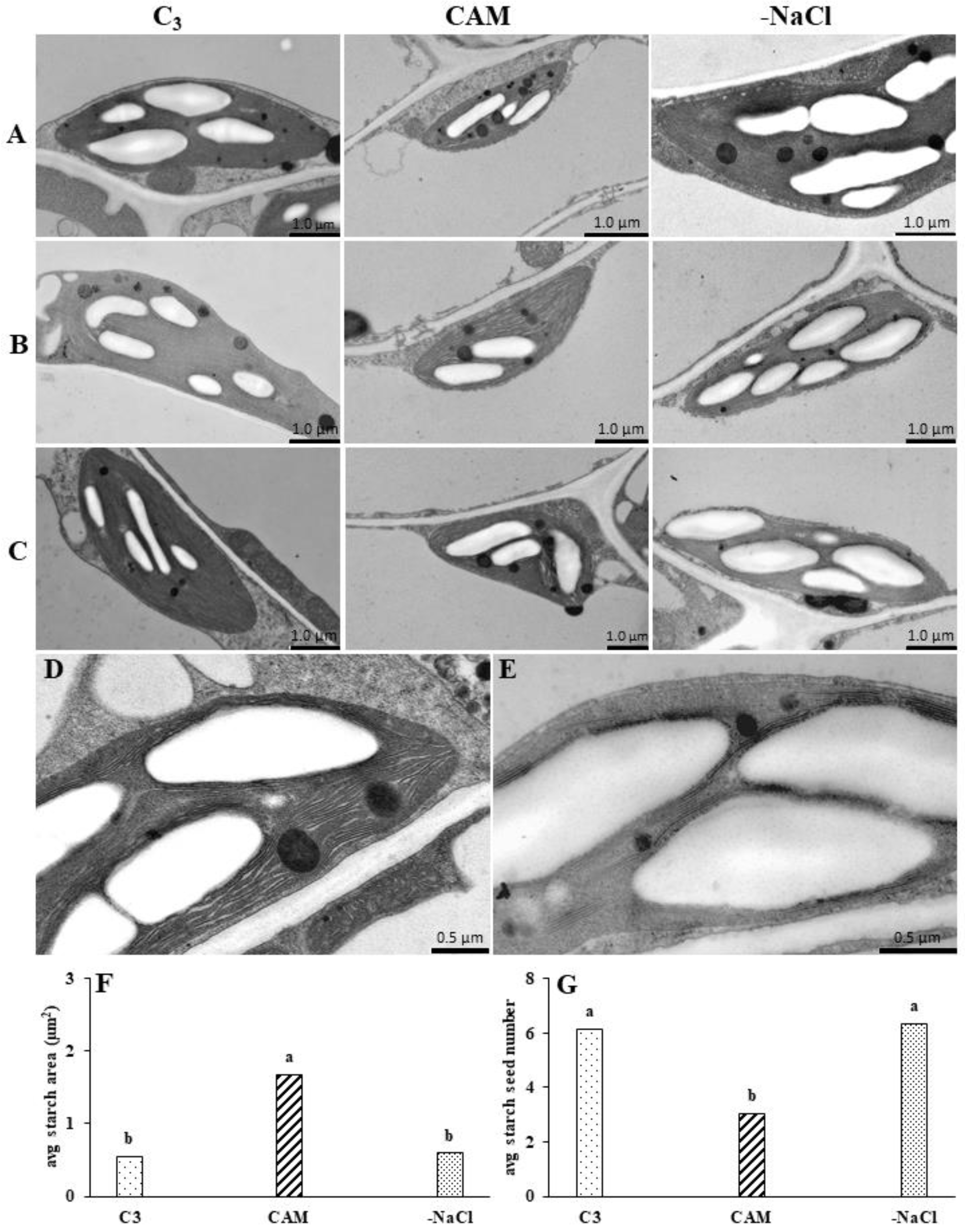 Ijms 22 08426 g006 550