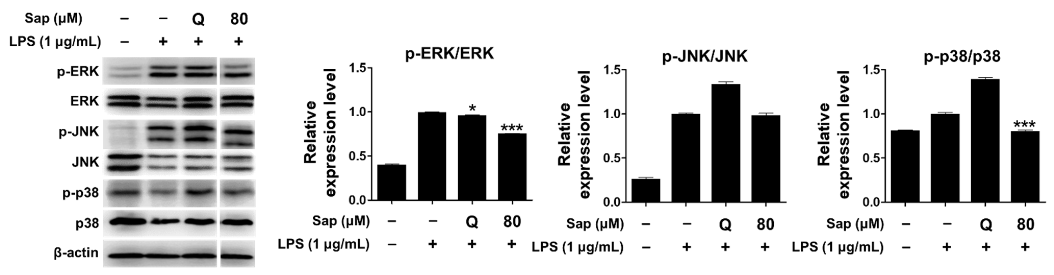 Ijms 22 08431 g004 550