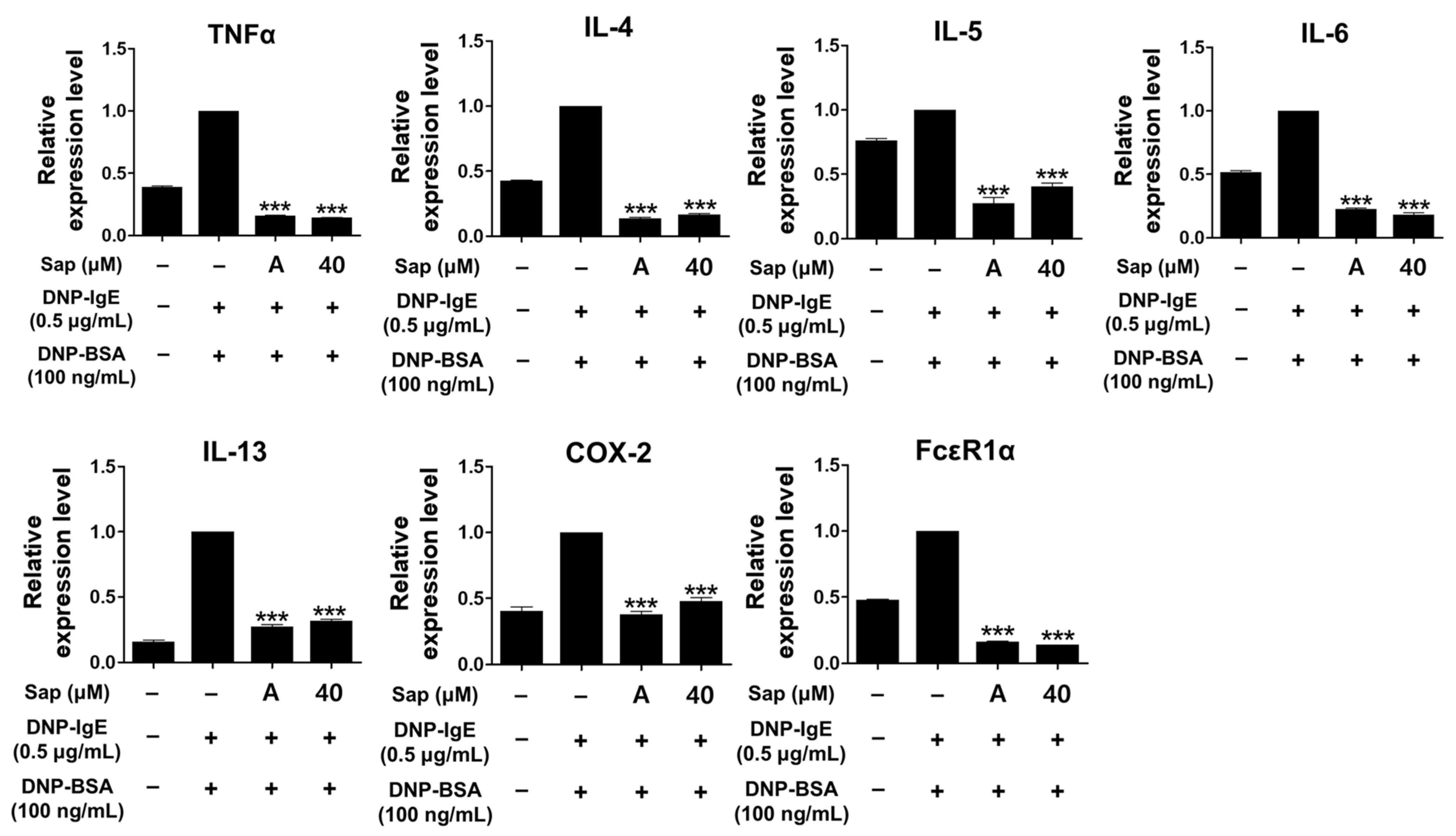 Ijms 22 08431 g005 550
