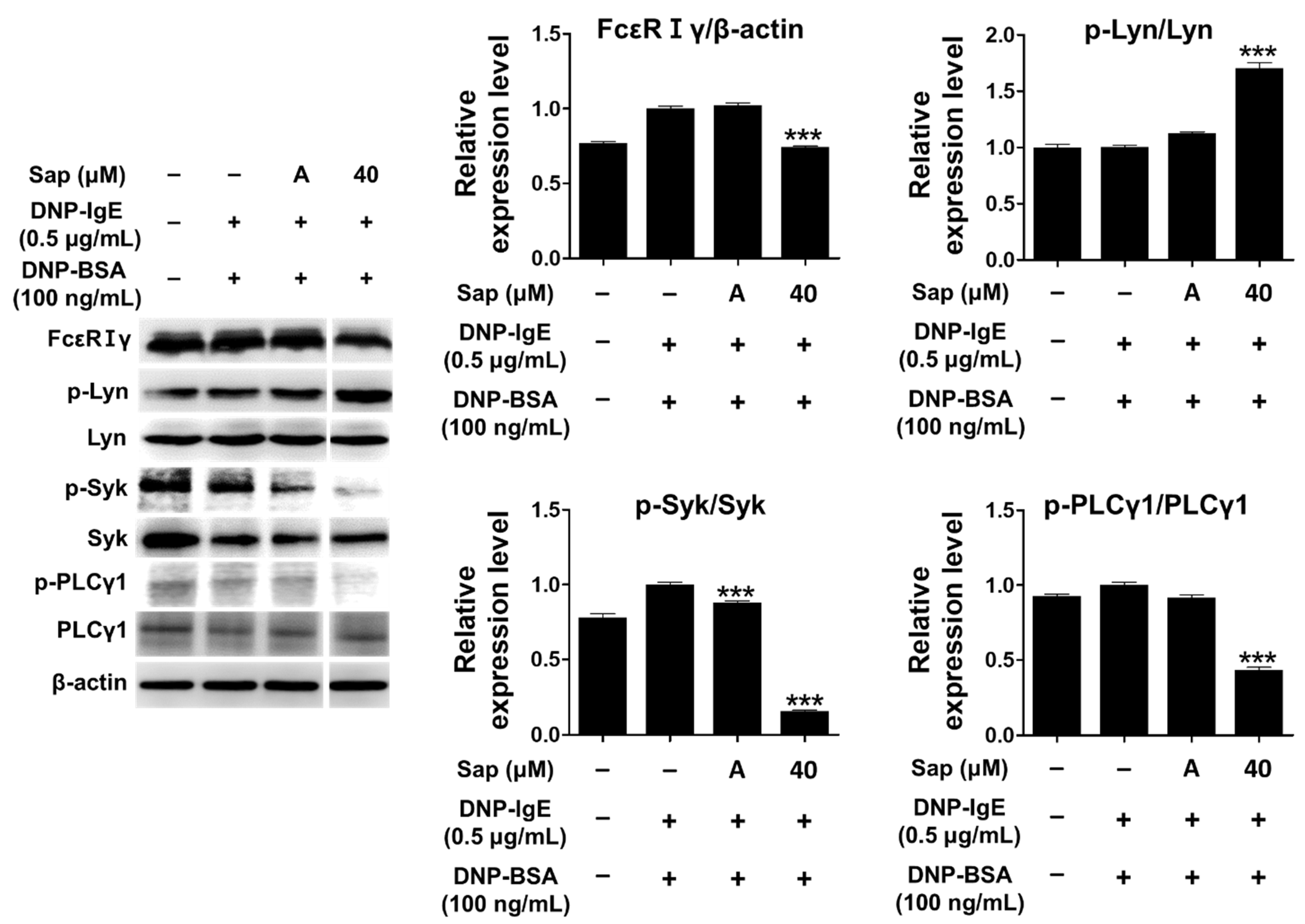 Ijms 22 08431 g006 550