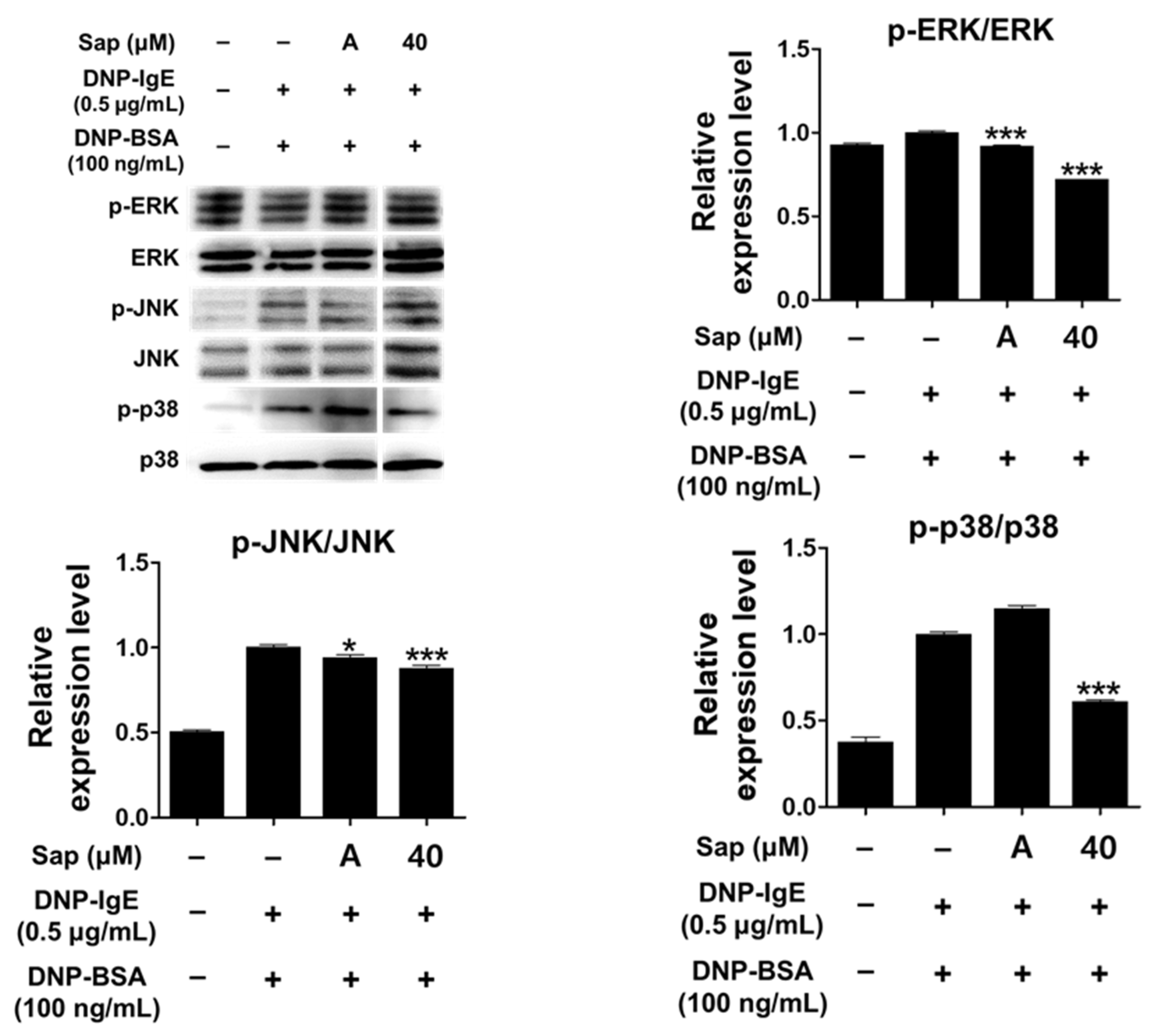 Ijms 22 08431 g007 550