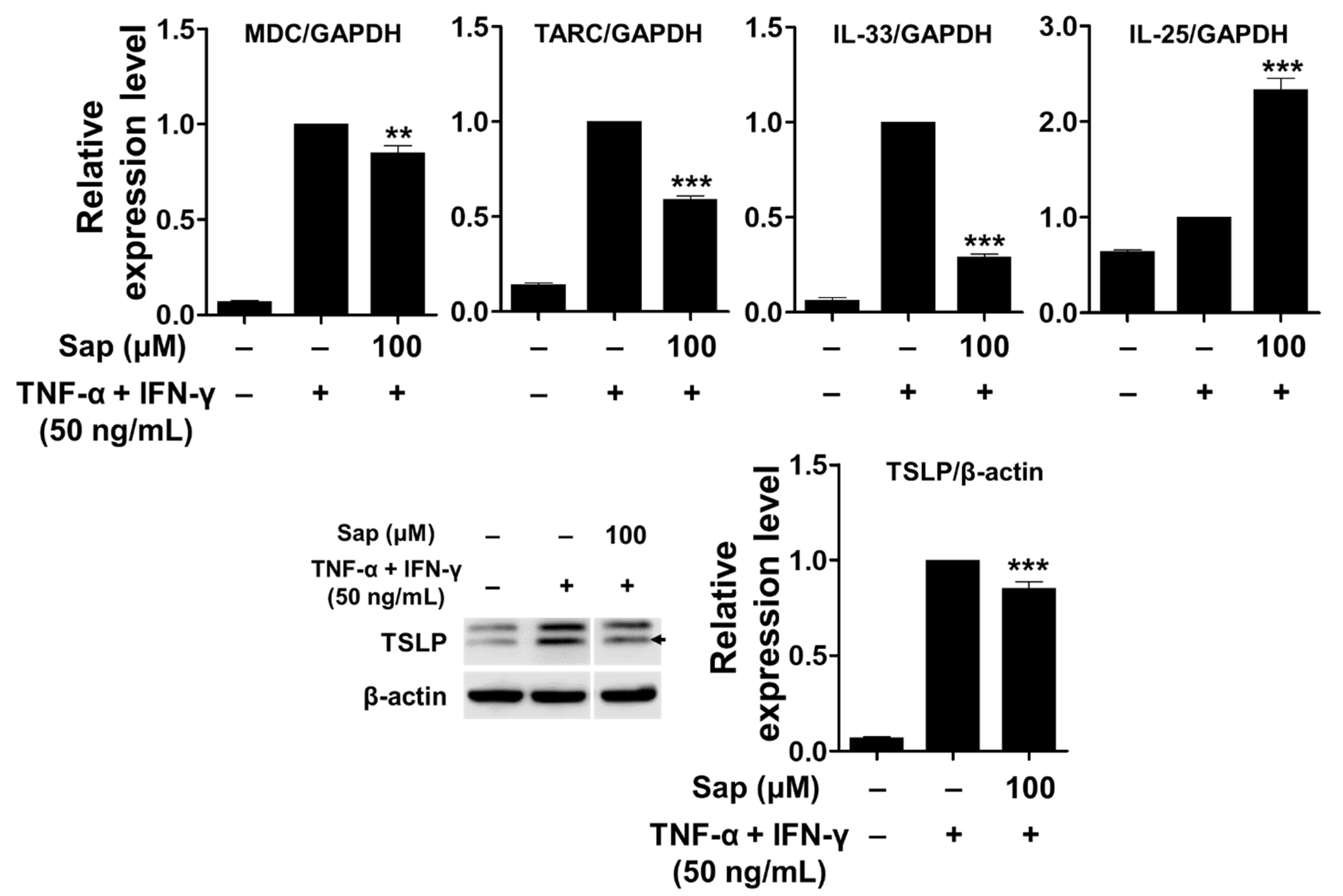 Ijms 22 08431 g008 550
