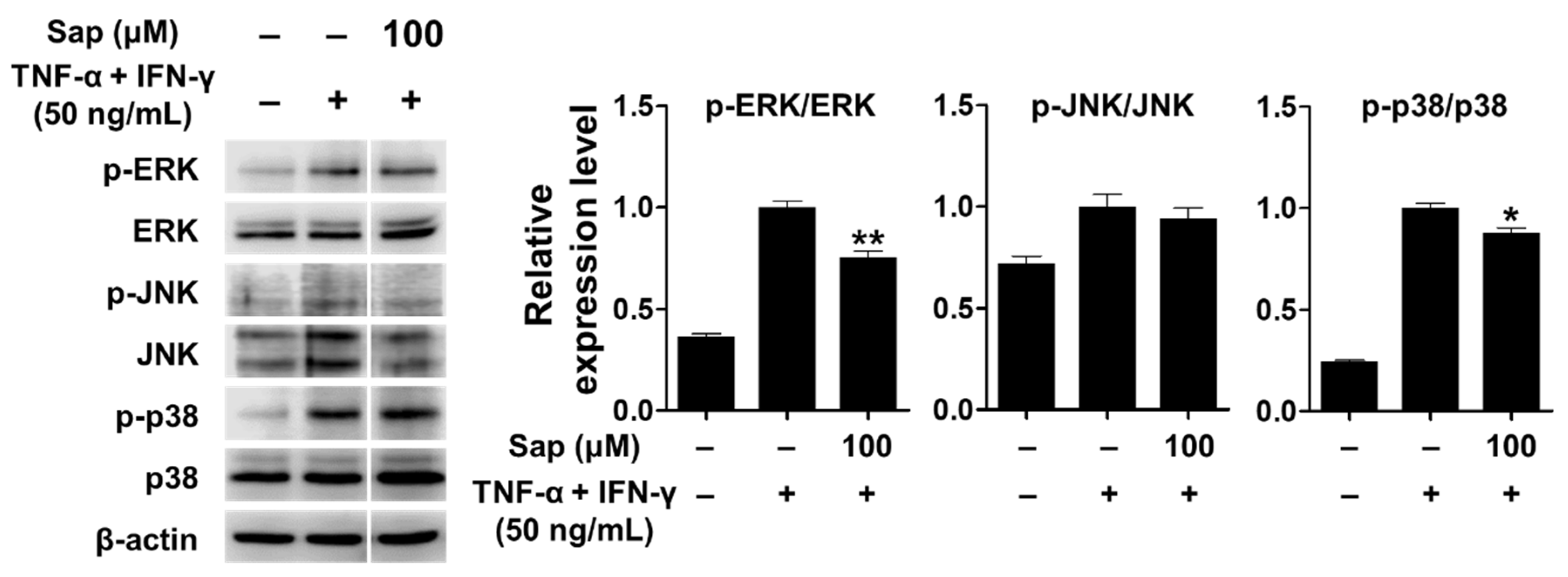 Ijms 22 08431 g009 550