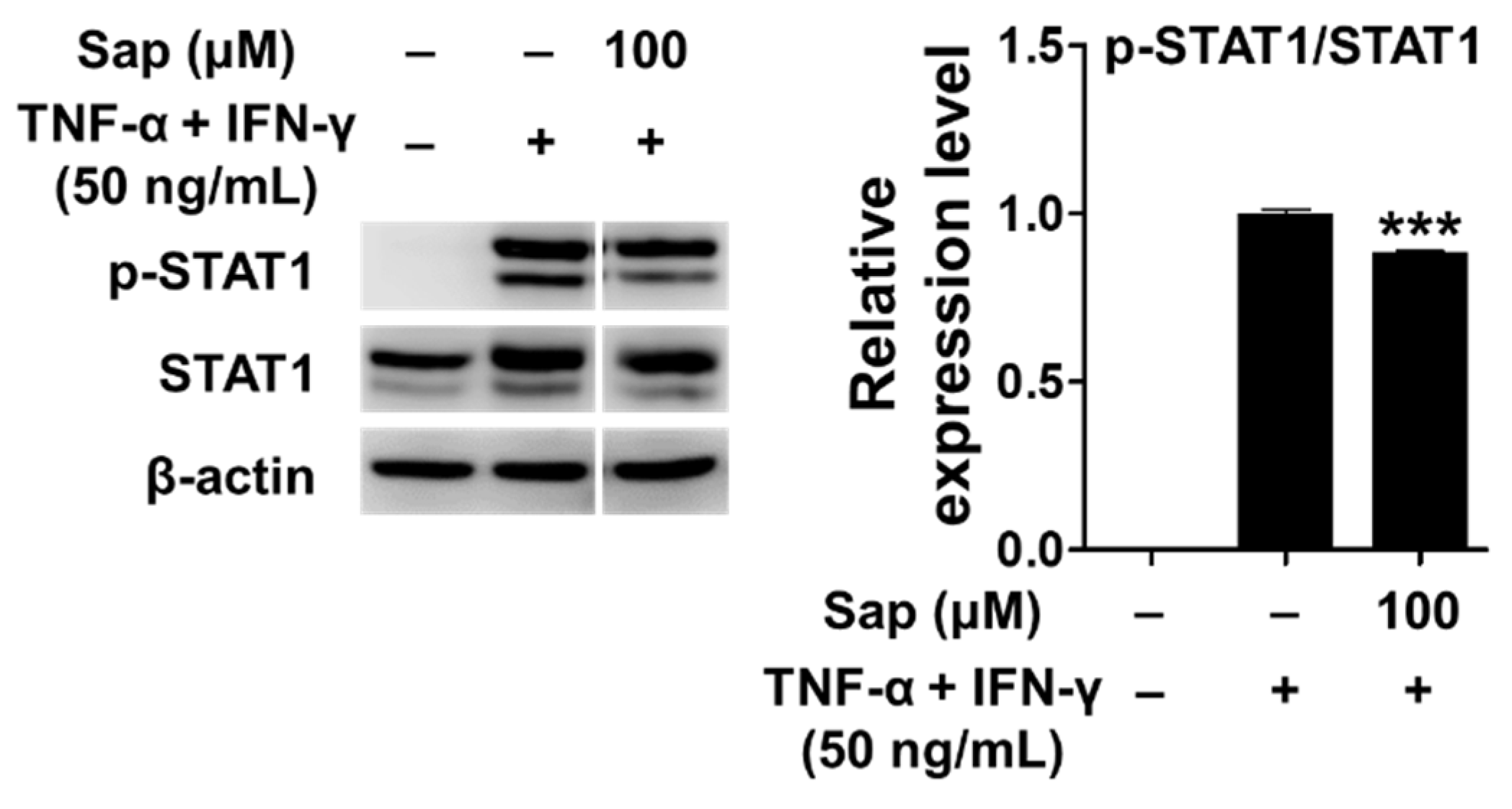 Ijms 22 08431 g010 550