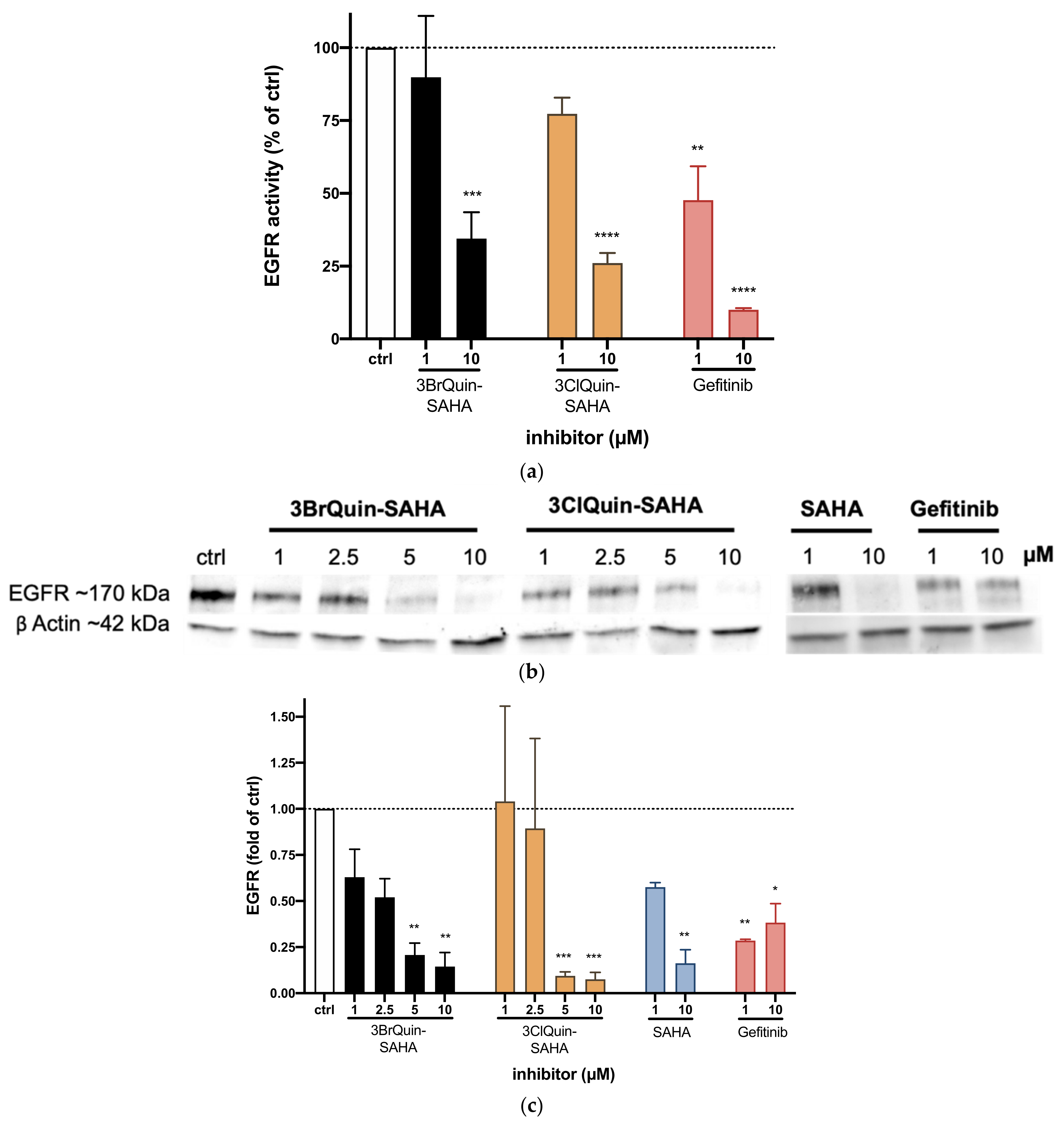 Ijms 22 08432 g003 550