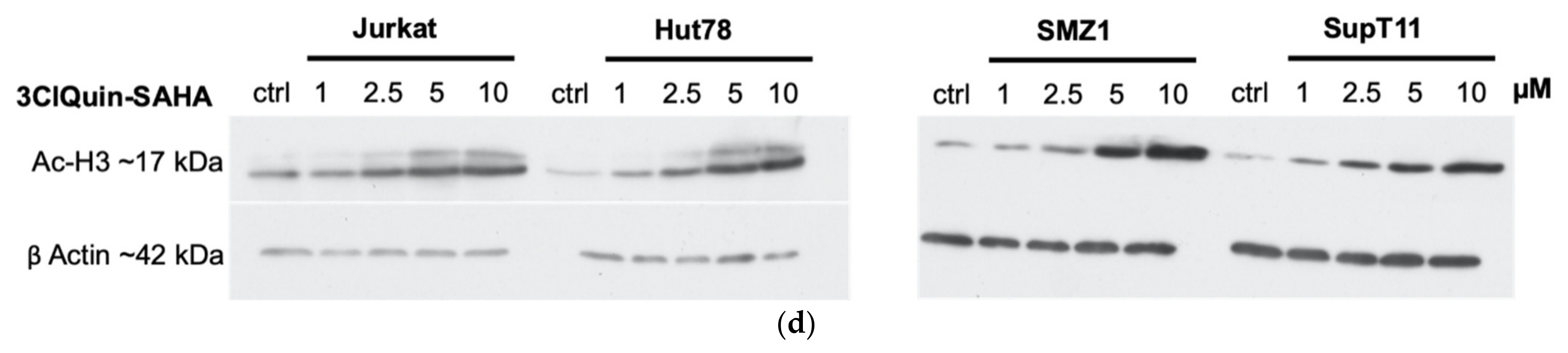 Ijms 22 08432 g004b 550