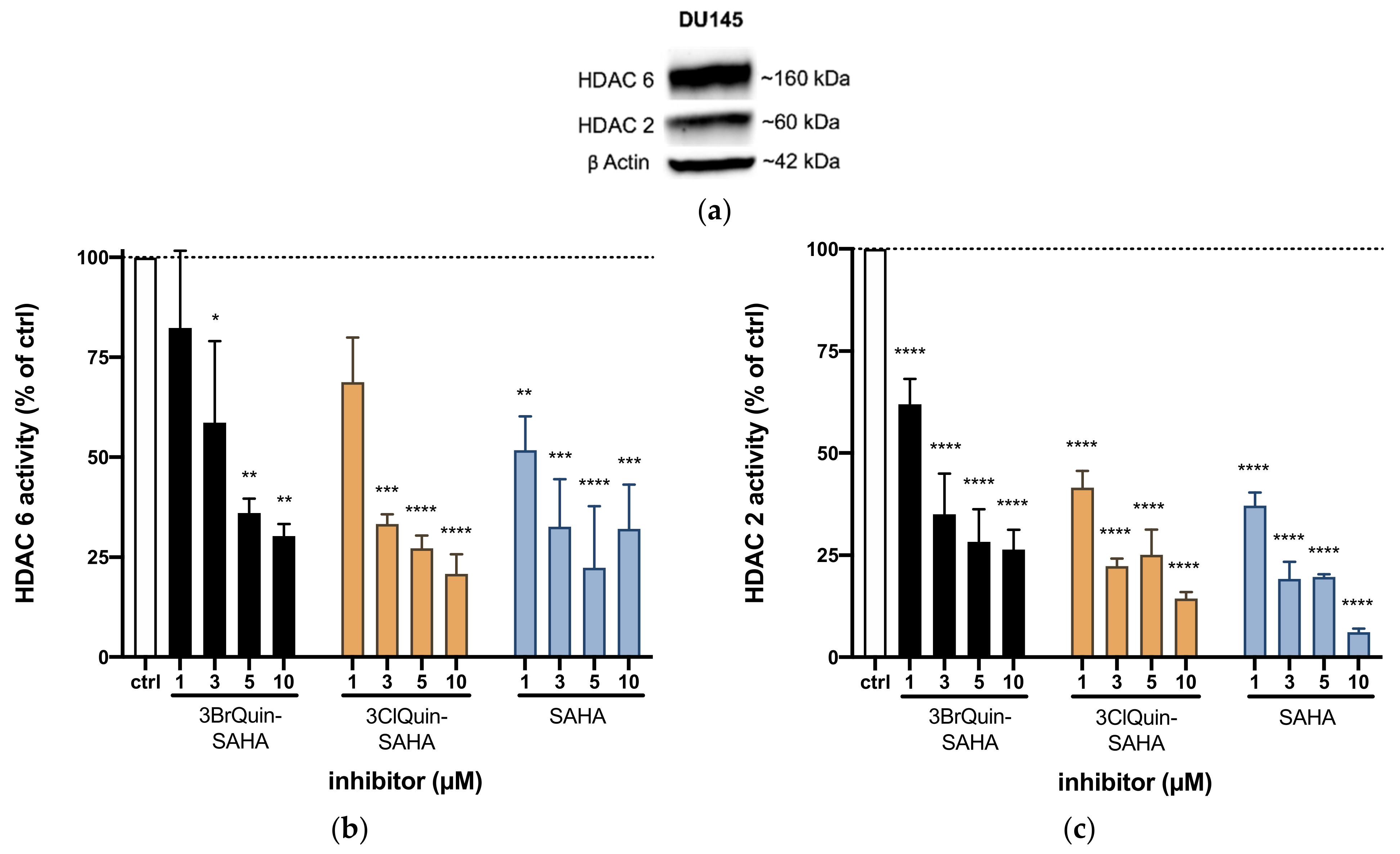 Ijms 22 08432 g005 550