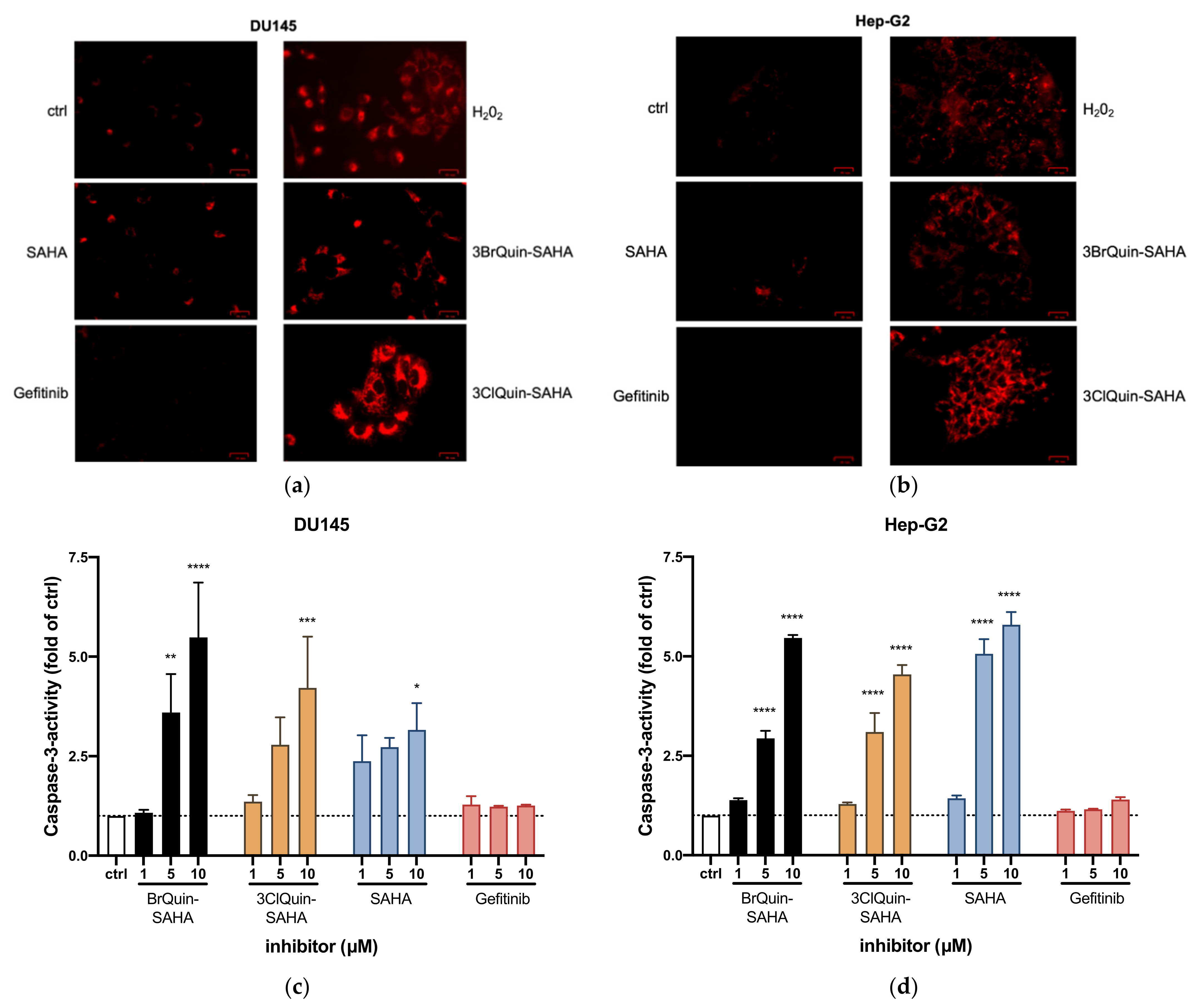 Ijms 22 08432 g006a 550